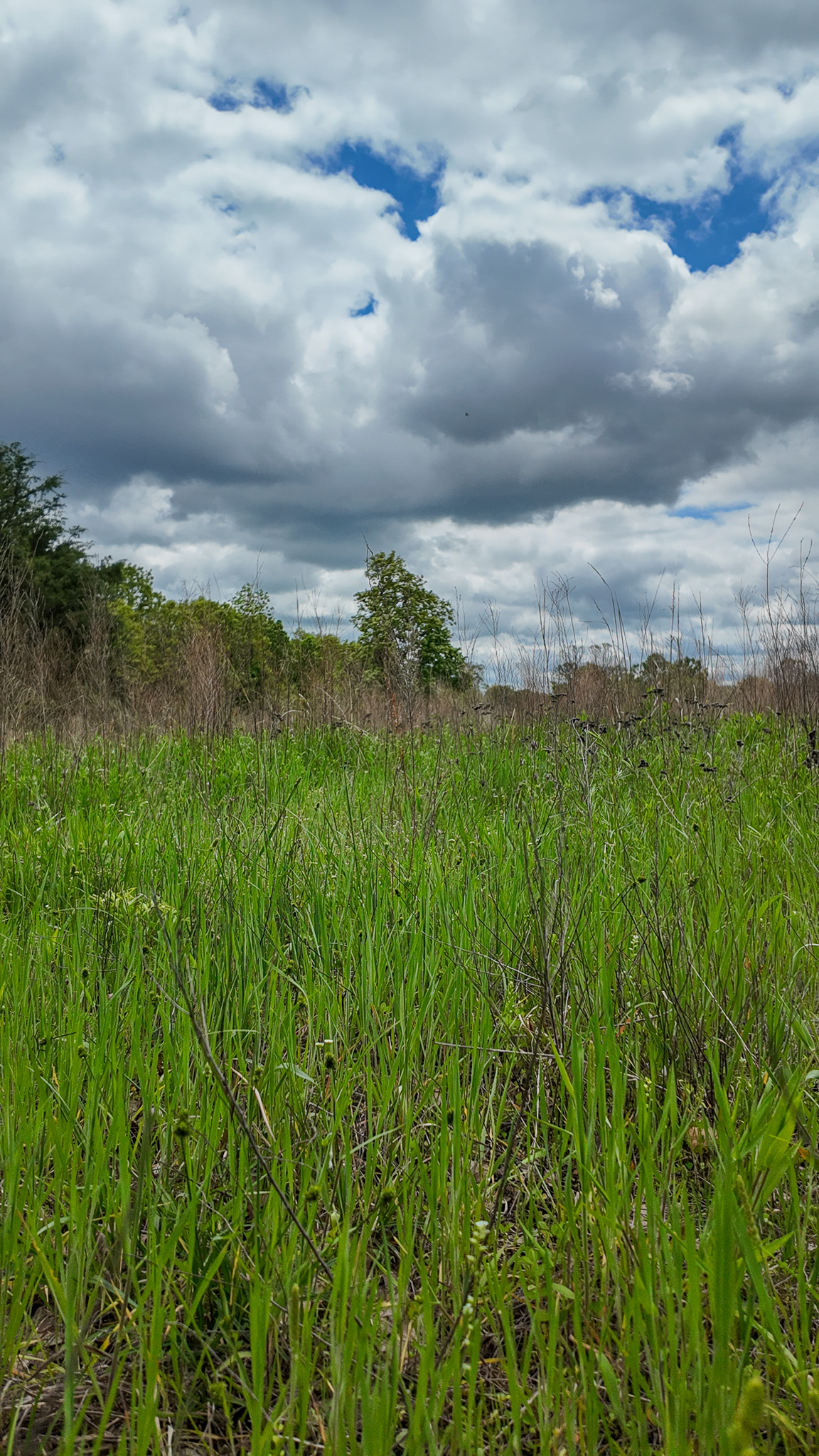 St. Clair County MO Recreational Land