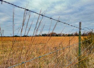 293 +/- acre hunting property for sale Lowry City MO