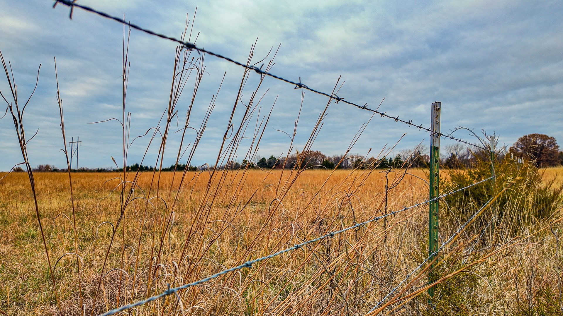 293 +/- acre hunting property for sale Lowry City MO