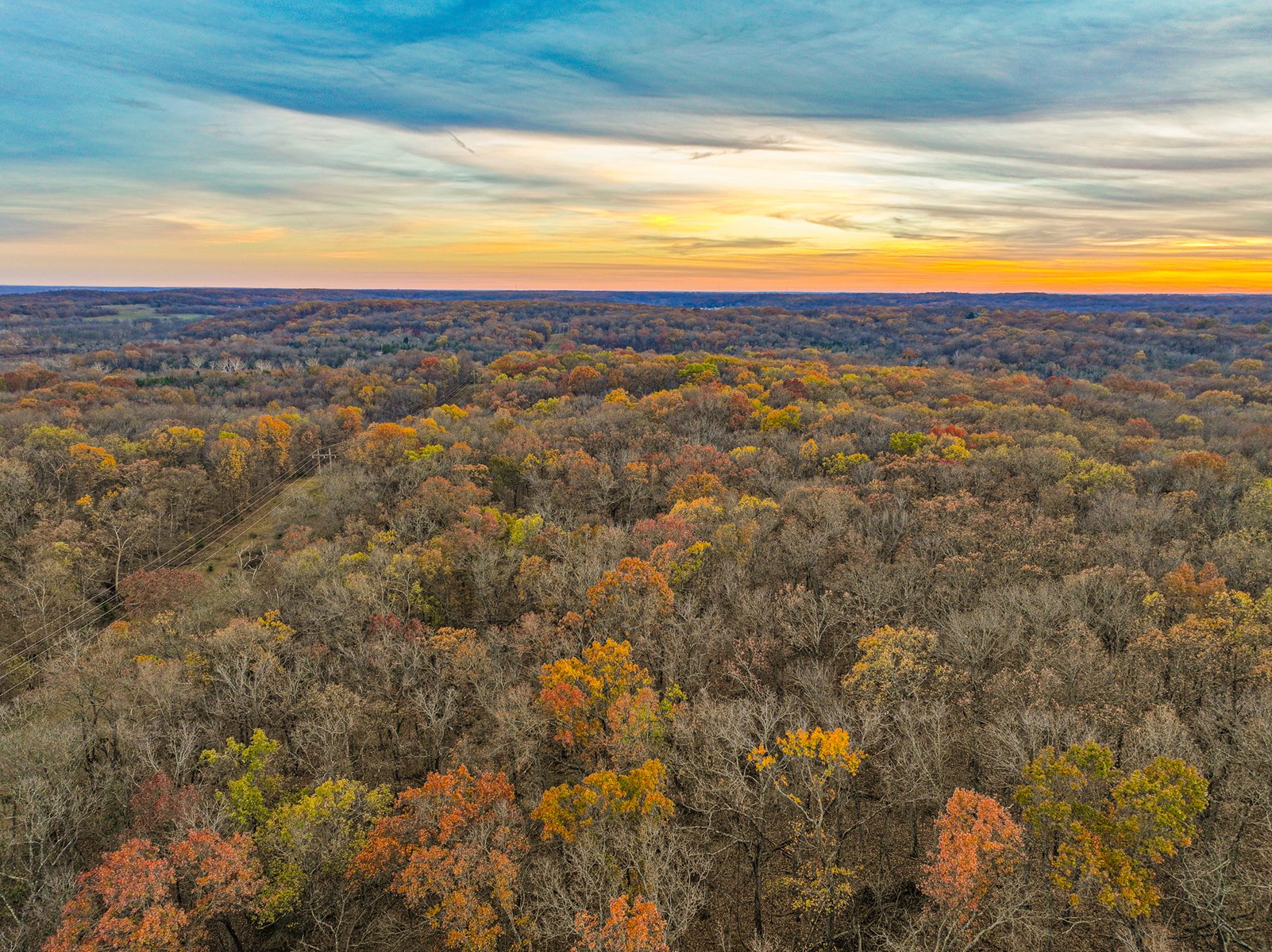 293 +/- acre hunting property for sale Lowry City MO