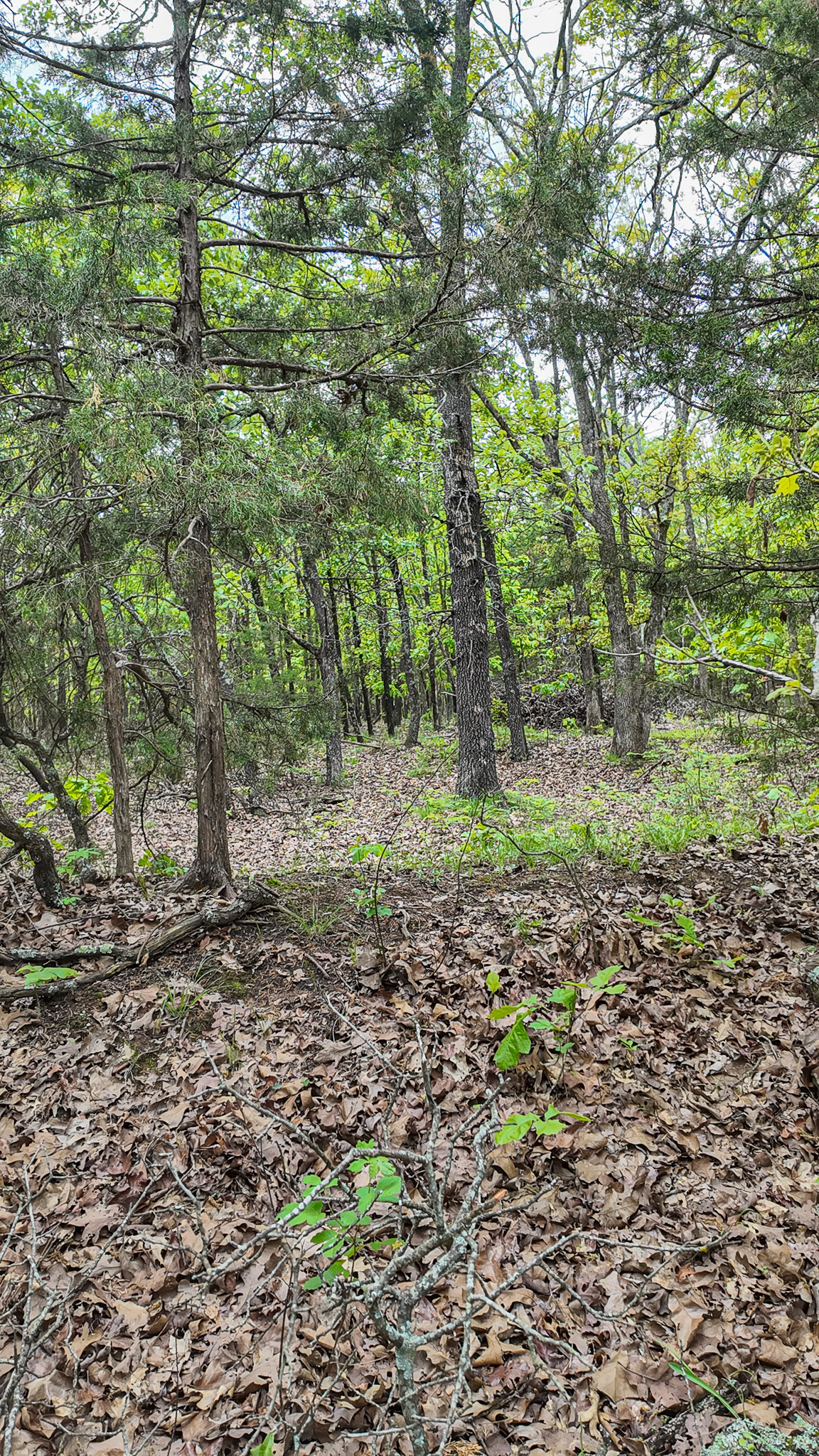 St. Clair County MO Recreational Land