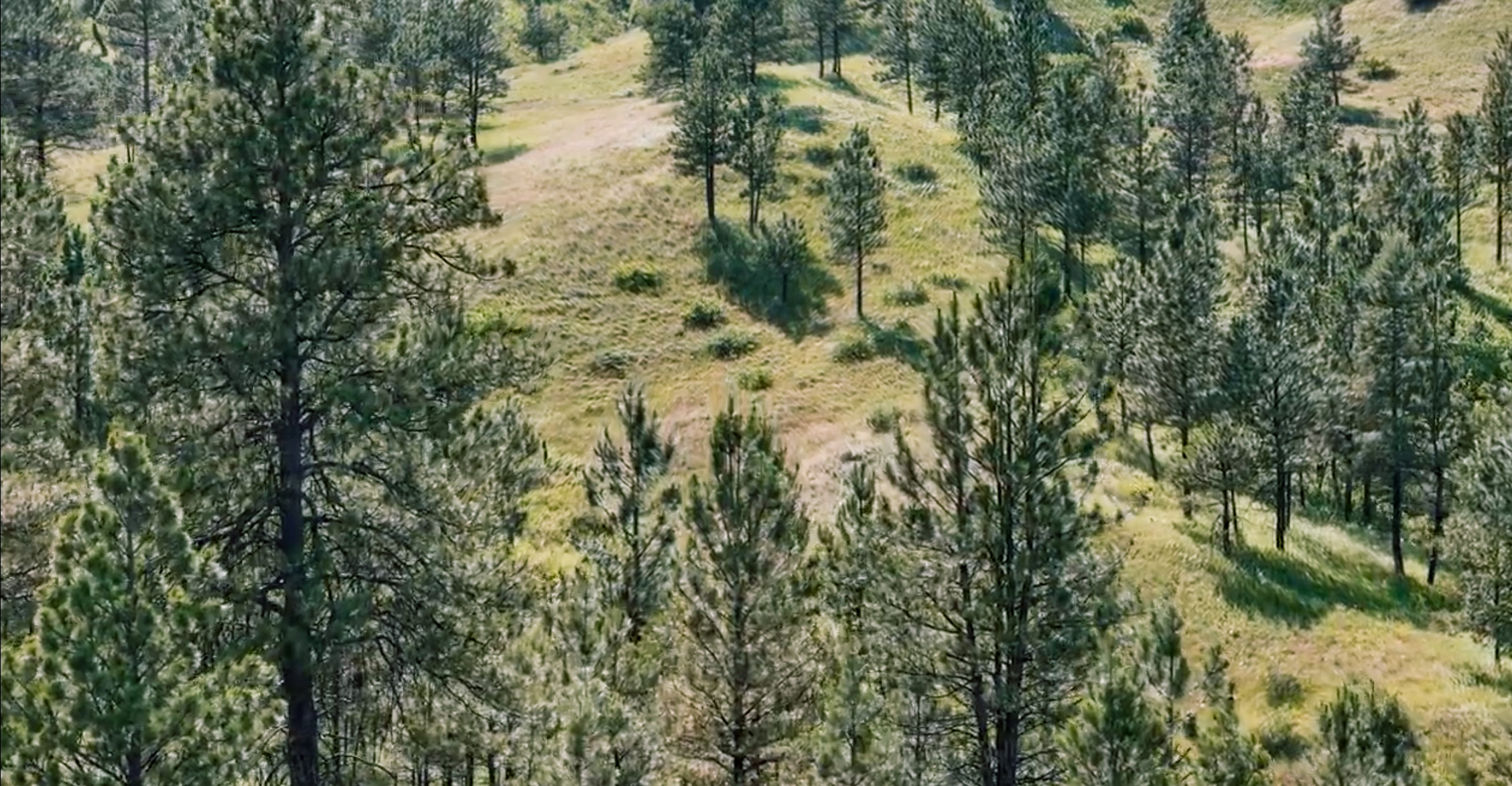 Pine Ridge Sanctuary-Premier Montana Hunting Land near Billings