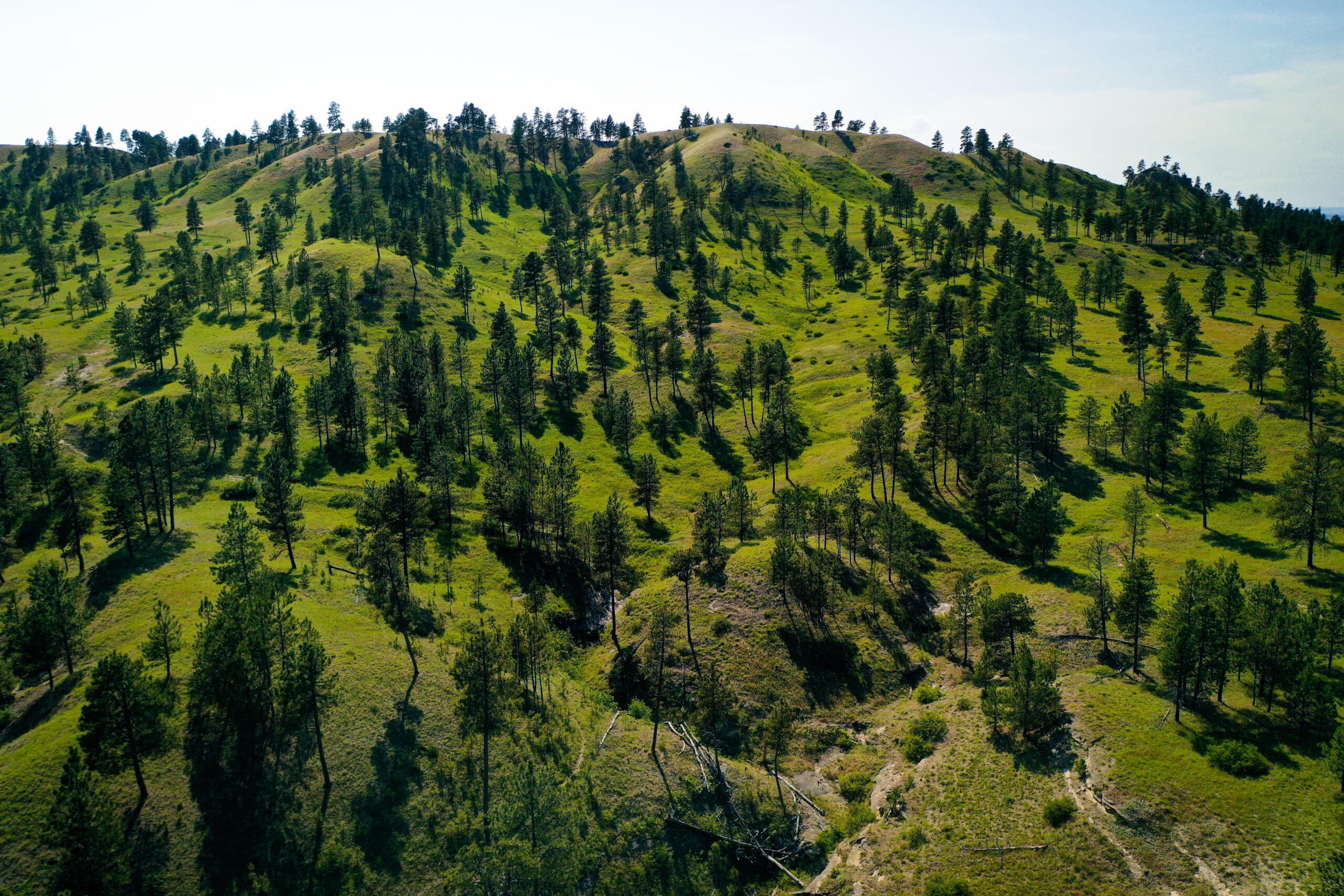 Pine Ridge Sanctuary-Premier Montana Hunting Land near Billings