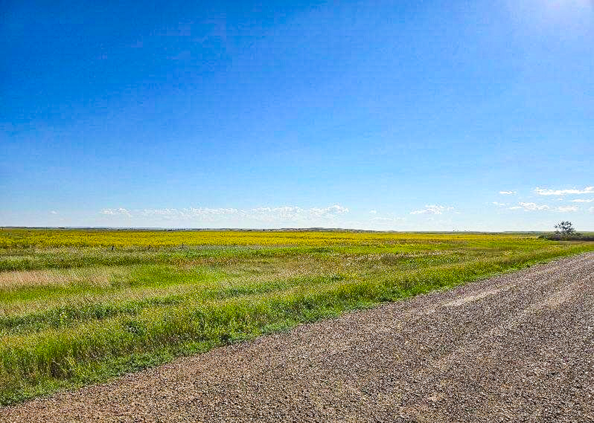 Flood Irrigated Hay Ground Saco Montana for Sale