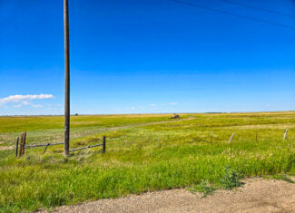Flood Irrigated Hay Ground Saco Montana for Sale
