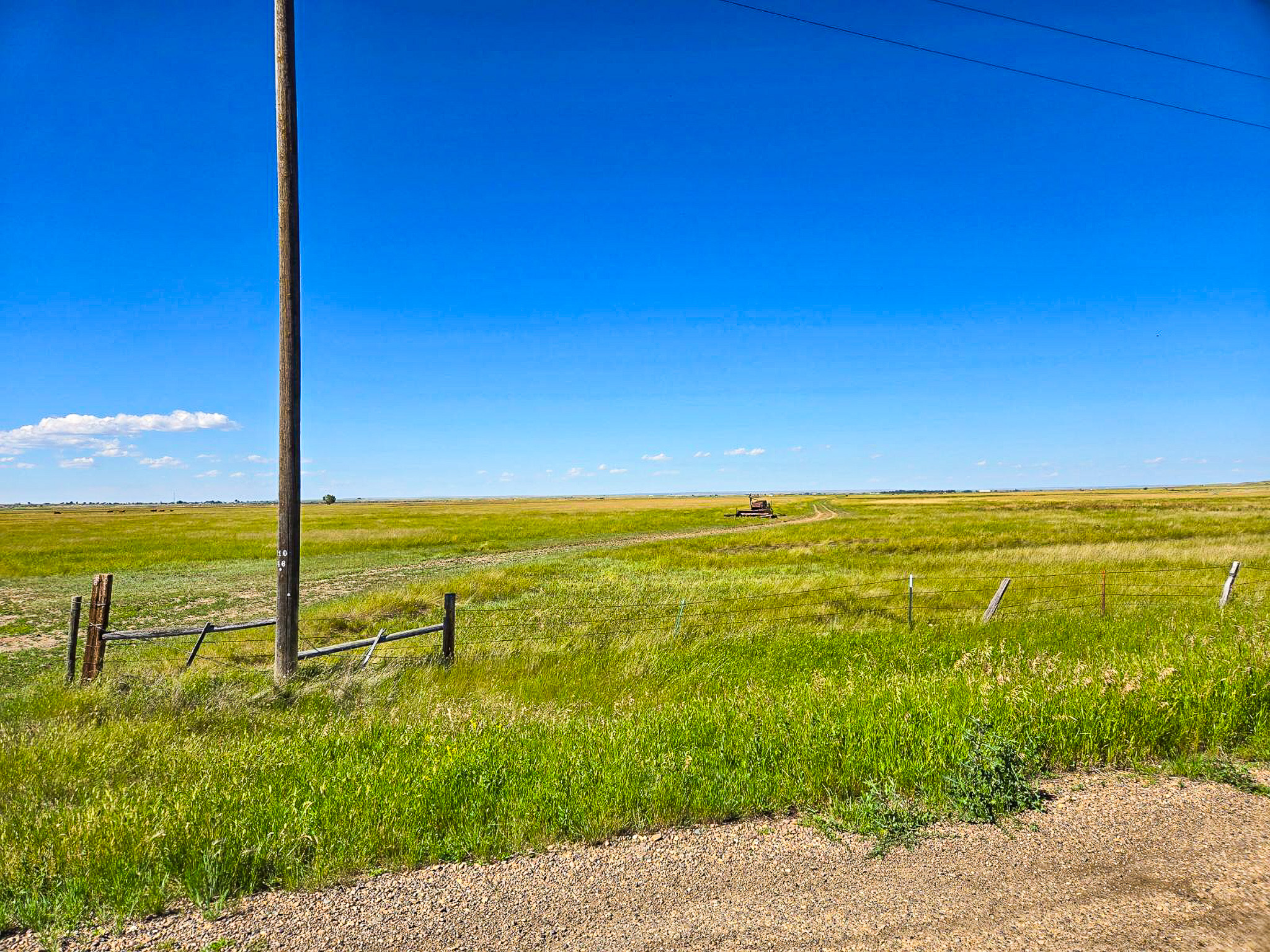 Flood Irrigated Hay Ground Saco Montana for Sale