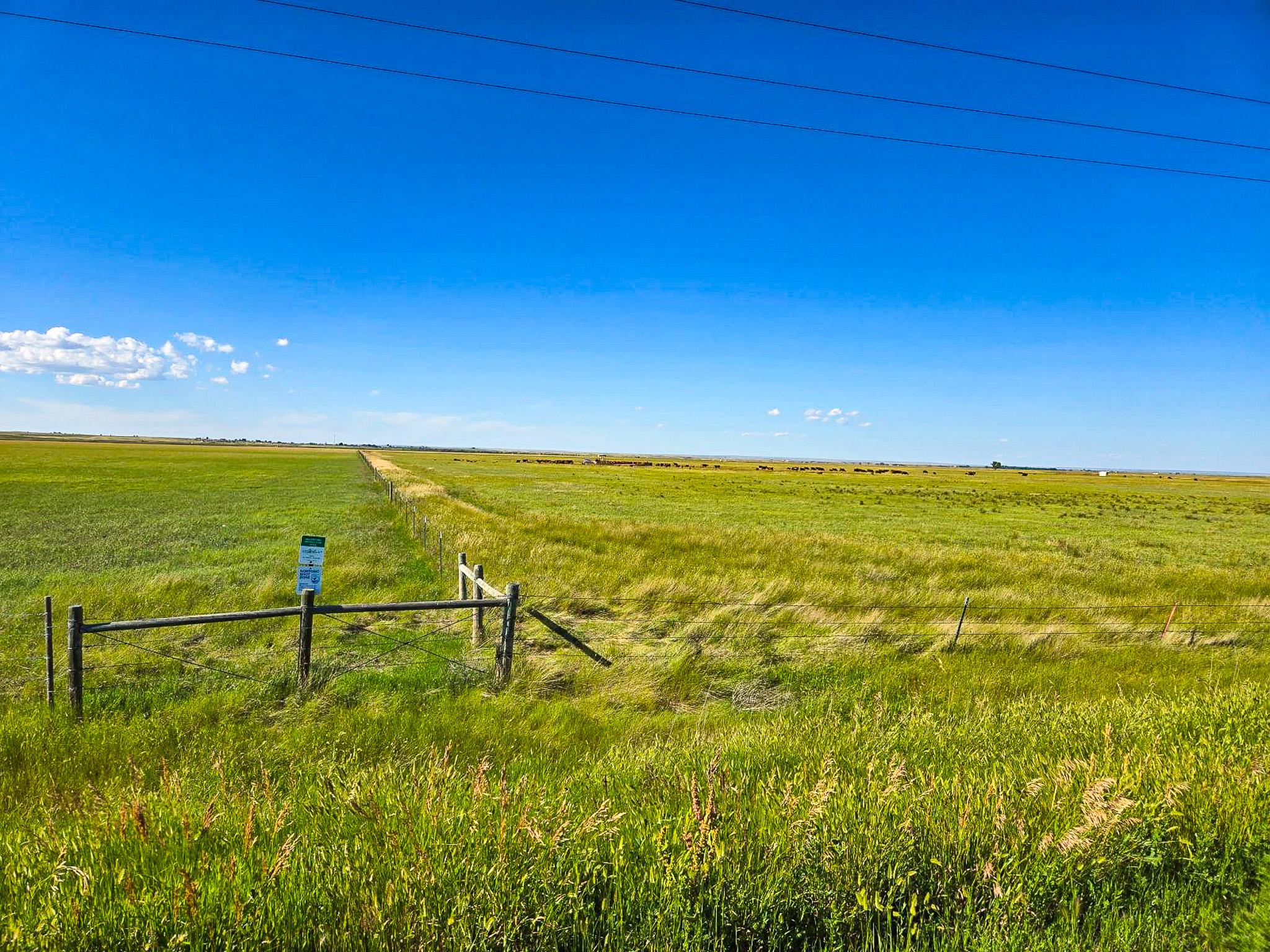 Flood Irrigated Hay Ground Saco Montana for Sale