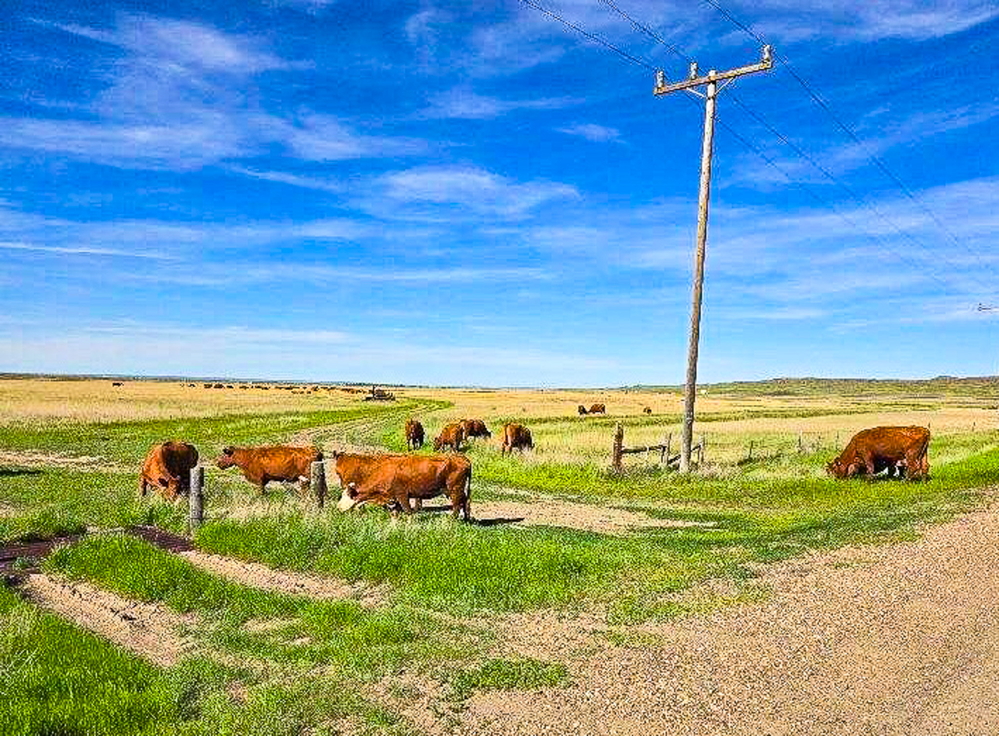 Flood Irrigated Hay Ground Saco Montana for Sale