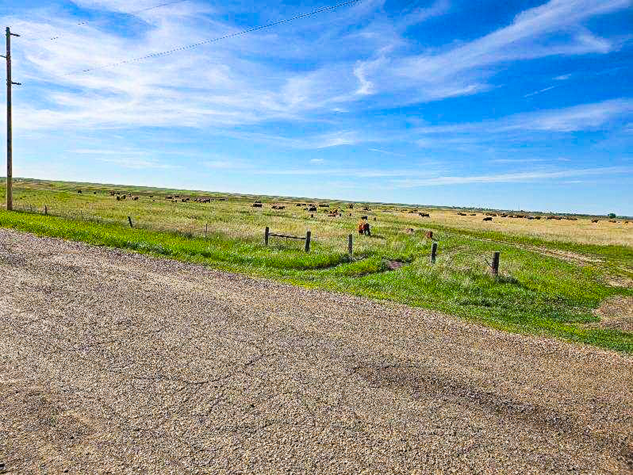Flood Irrigated Hay Ground Saco Montana for Sale
