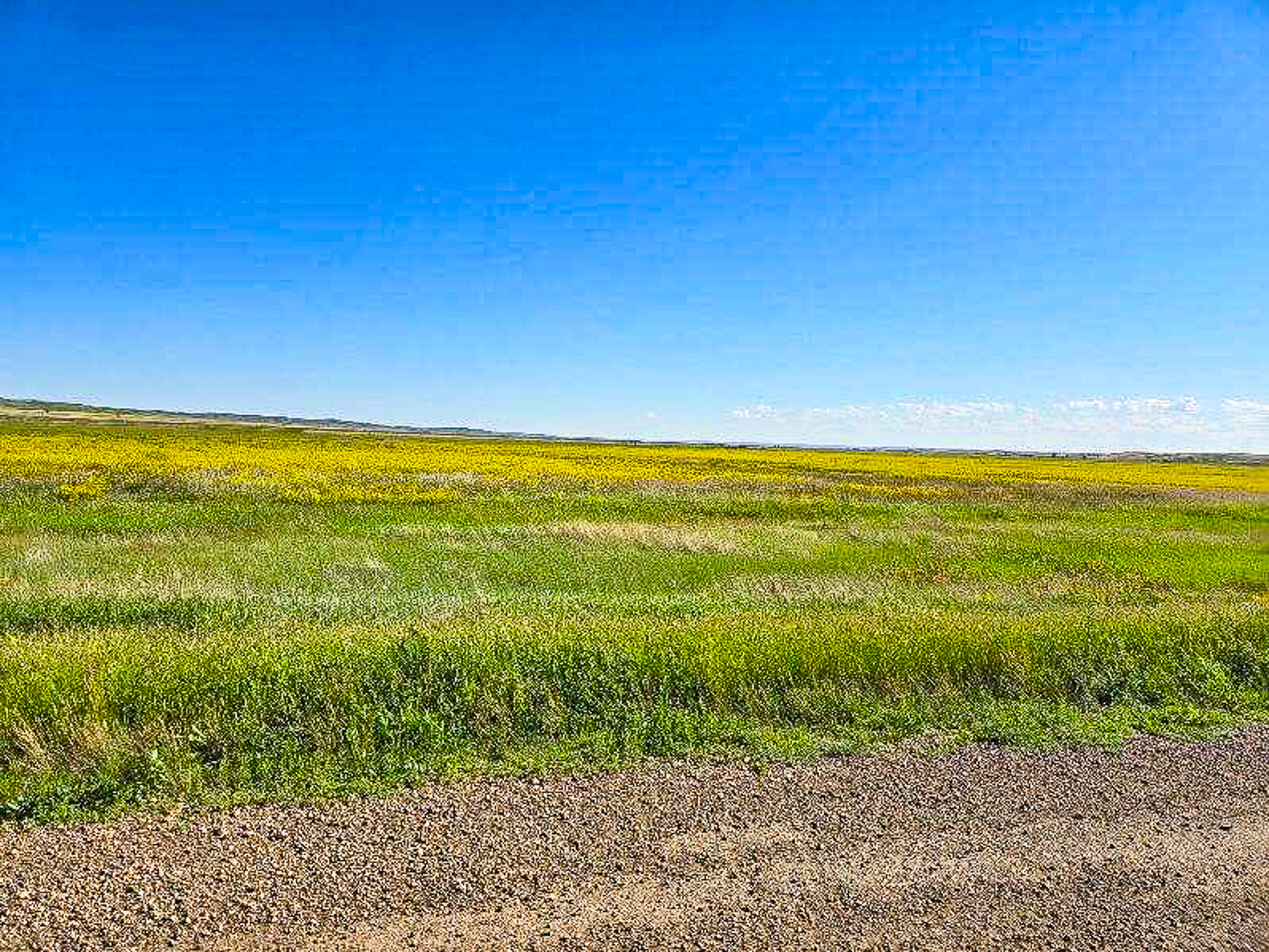 Flood Irrigated Hay Ground Saco Montana for Sale