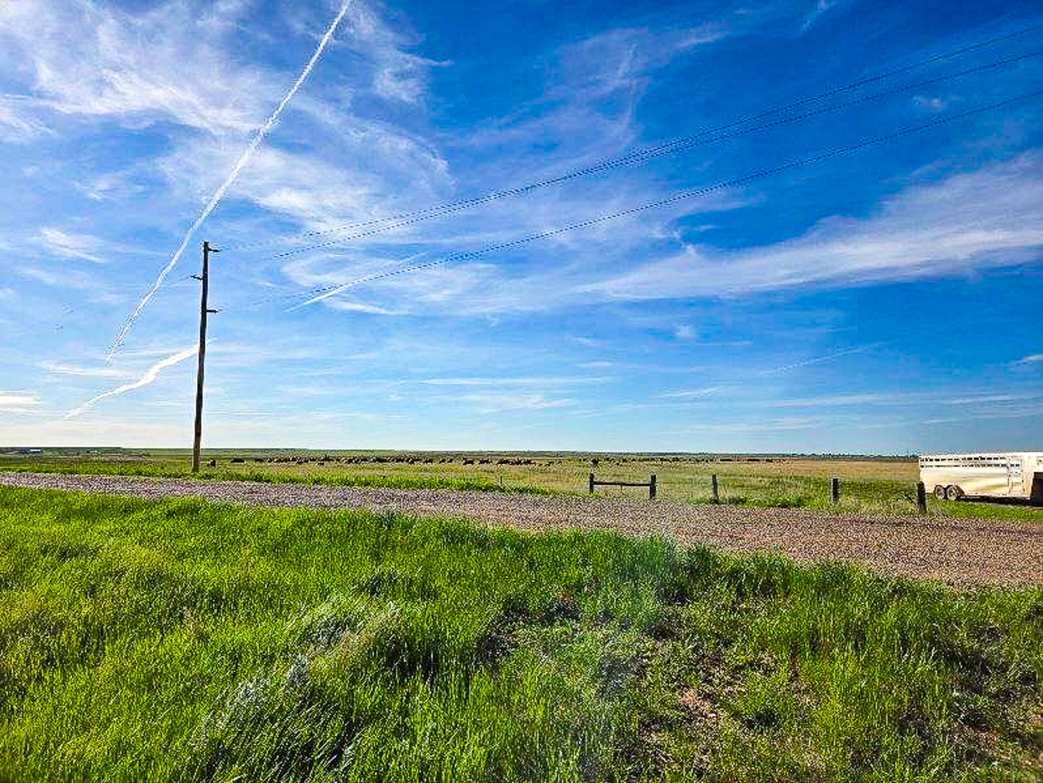 Flood Irrigated Hay Ground Saco Montana for Sale