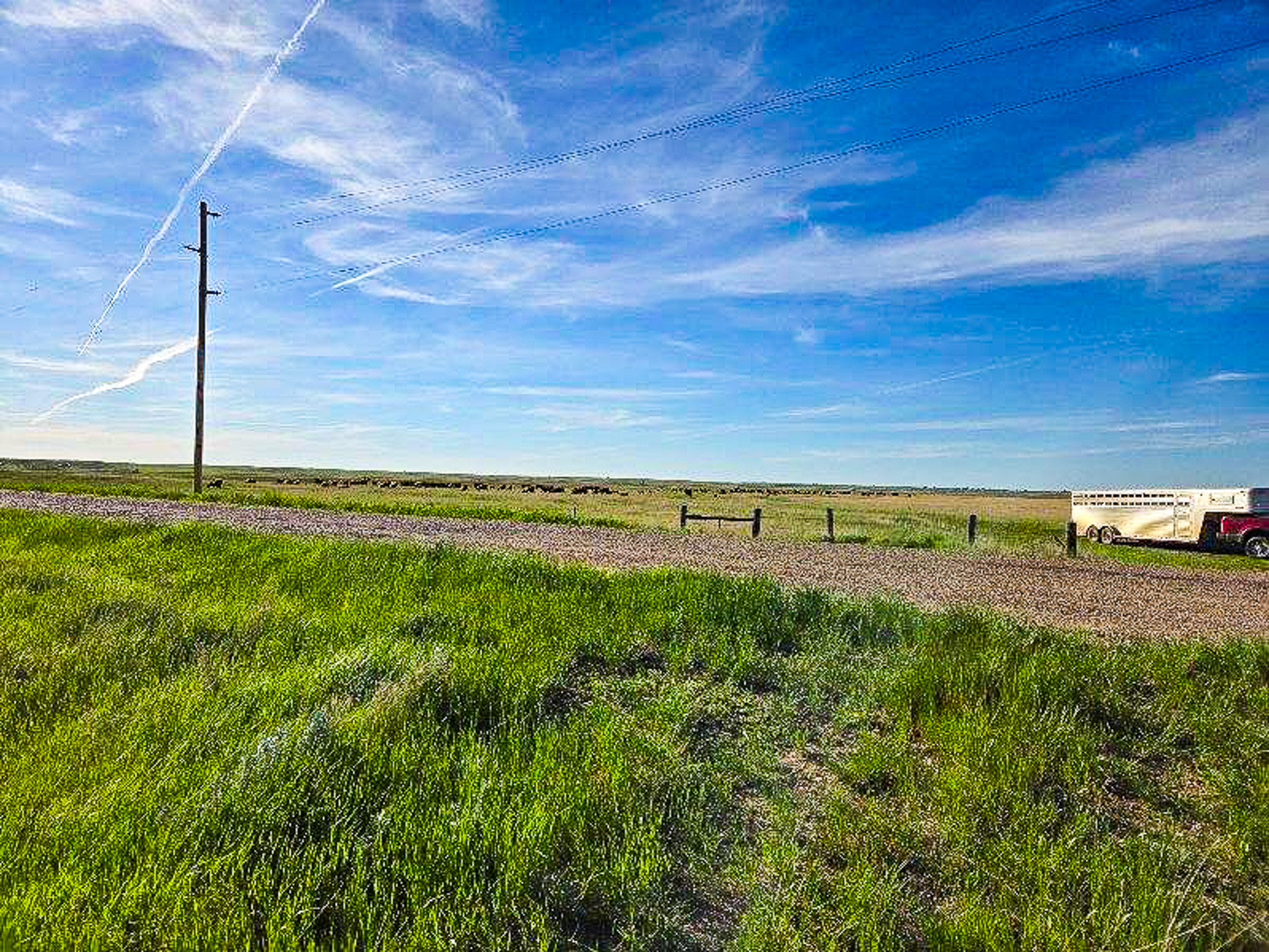 Flood Irrigated Hay Ground Saco Montana for Sale