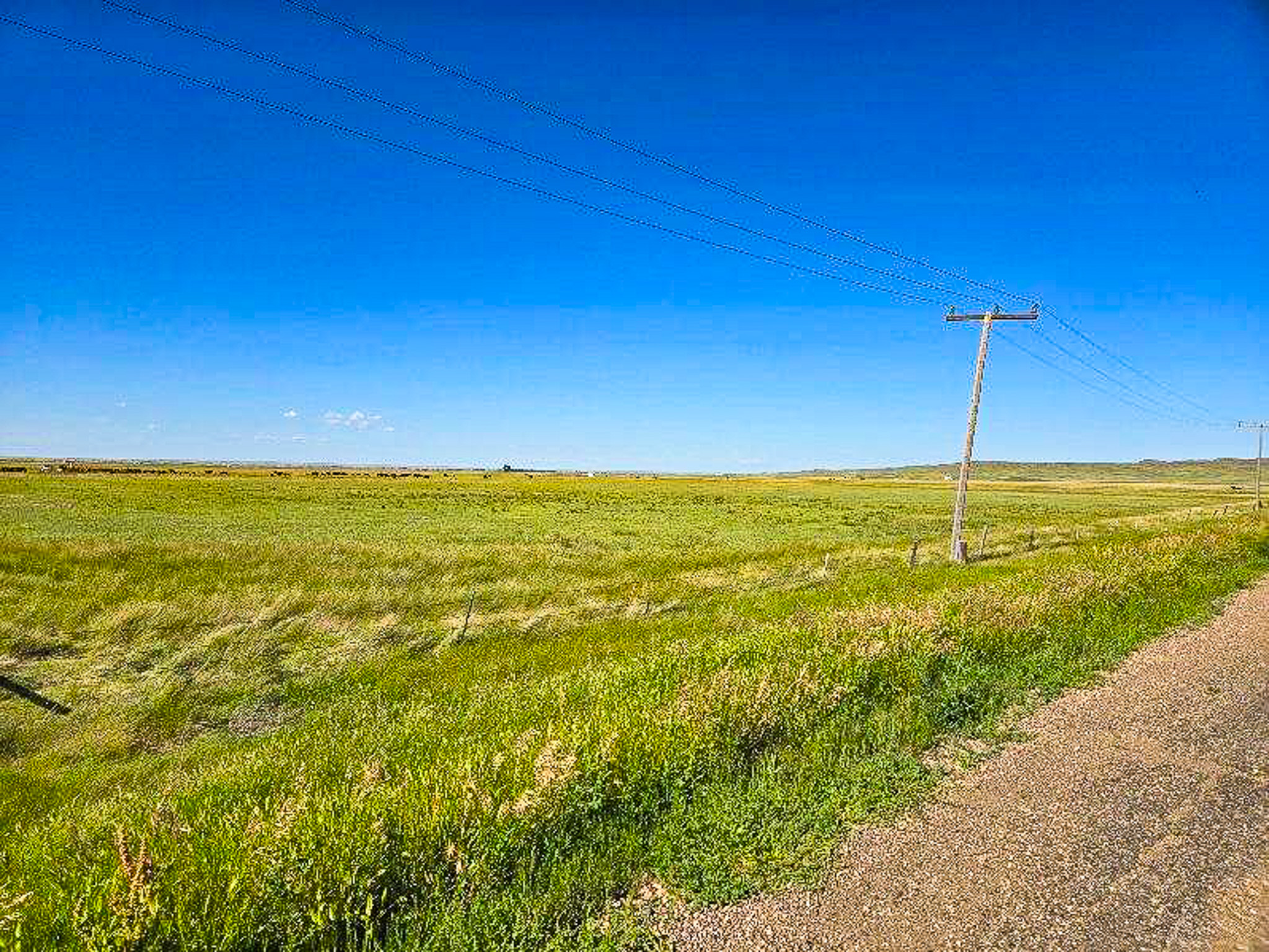 Flood Irrigated Hay Ground Saco Montana for Sale