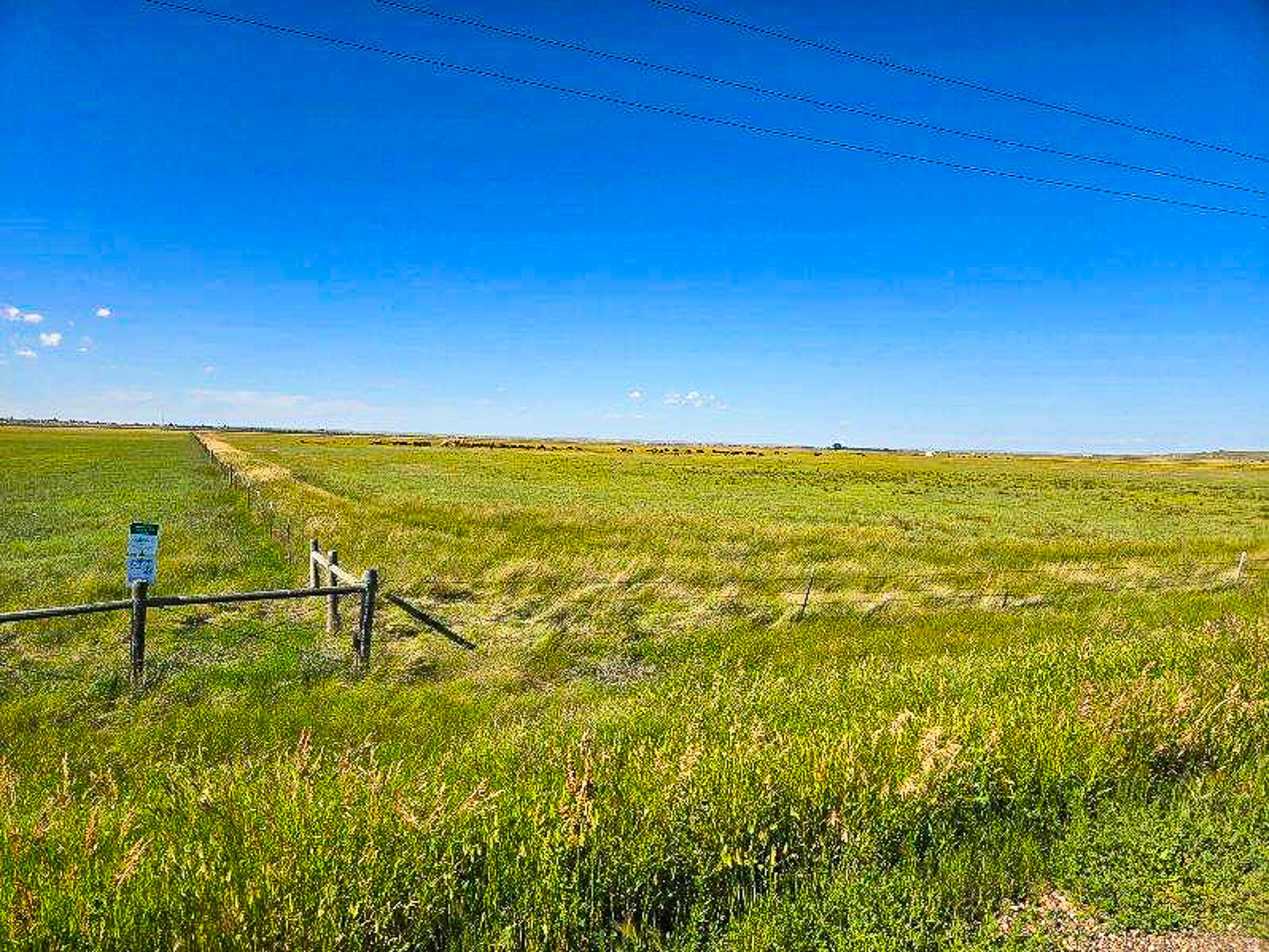Flood Irrigated Hay Ground Saco Montana for Sale