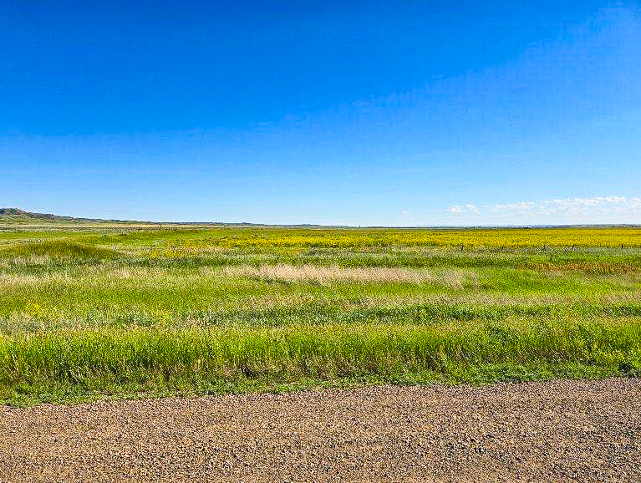 Flood Irrigated Hay Ground Saco Montana for Sale