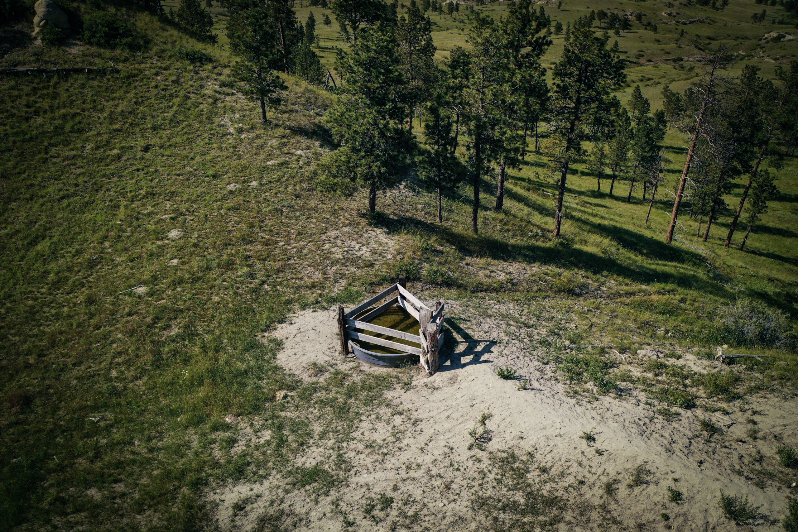Pine Ridge Sanctuary-Premier Montana Hunting Land near Billings