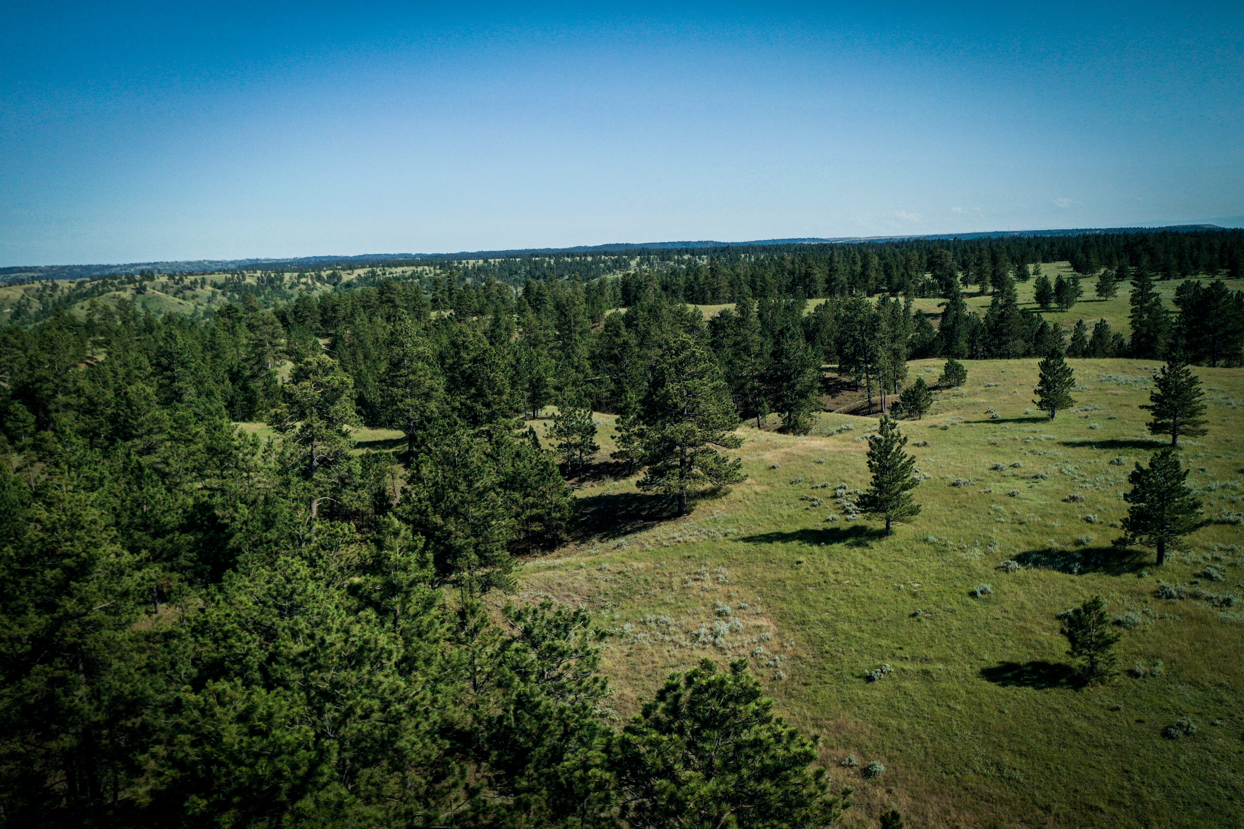 Pine Ridge Sanctuary-Premier Montana Hunting Land near Billings