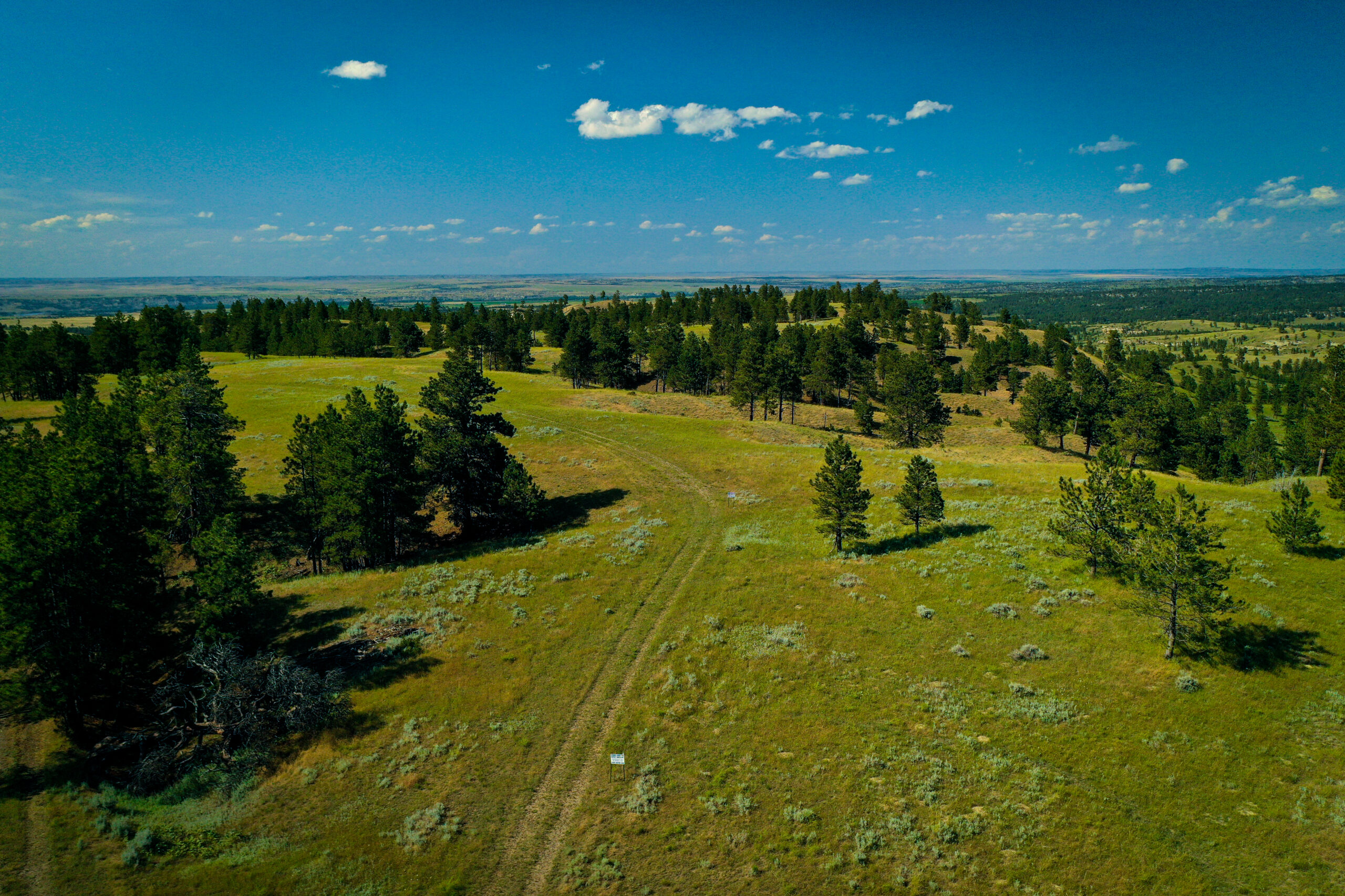 Pine Ridge Sanctuary-Premier Montana Hunting Land near Billings