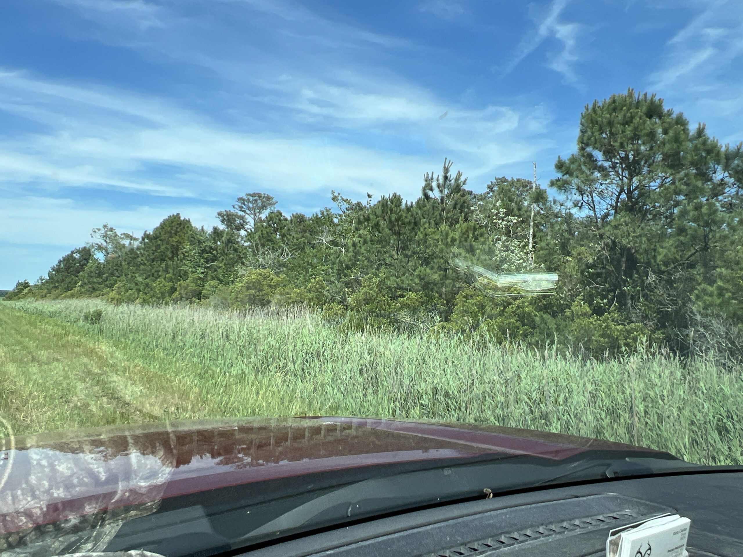Affordable Hunting Land in Hyde County, NC – 30 AC