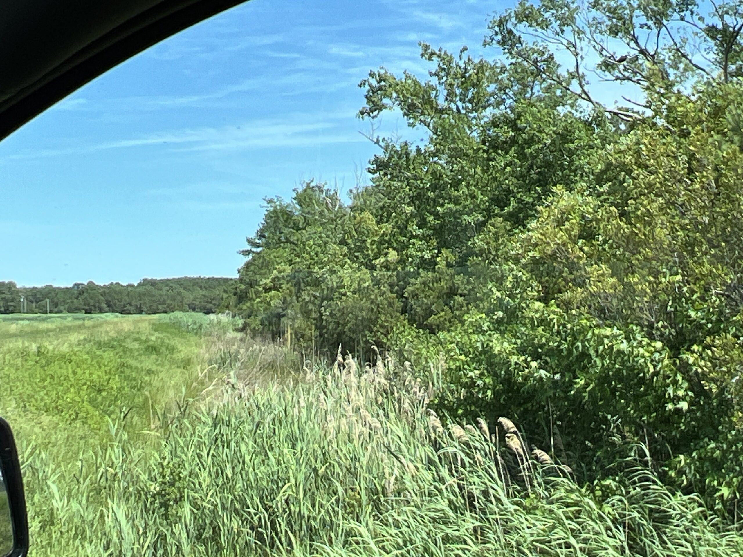 Affordable Hunting Land in Hyde County, NC – 30 AC