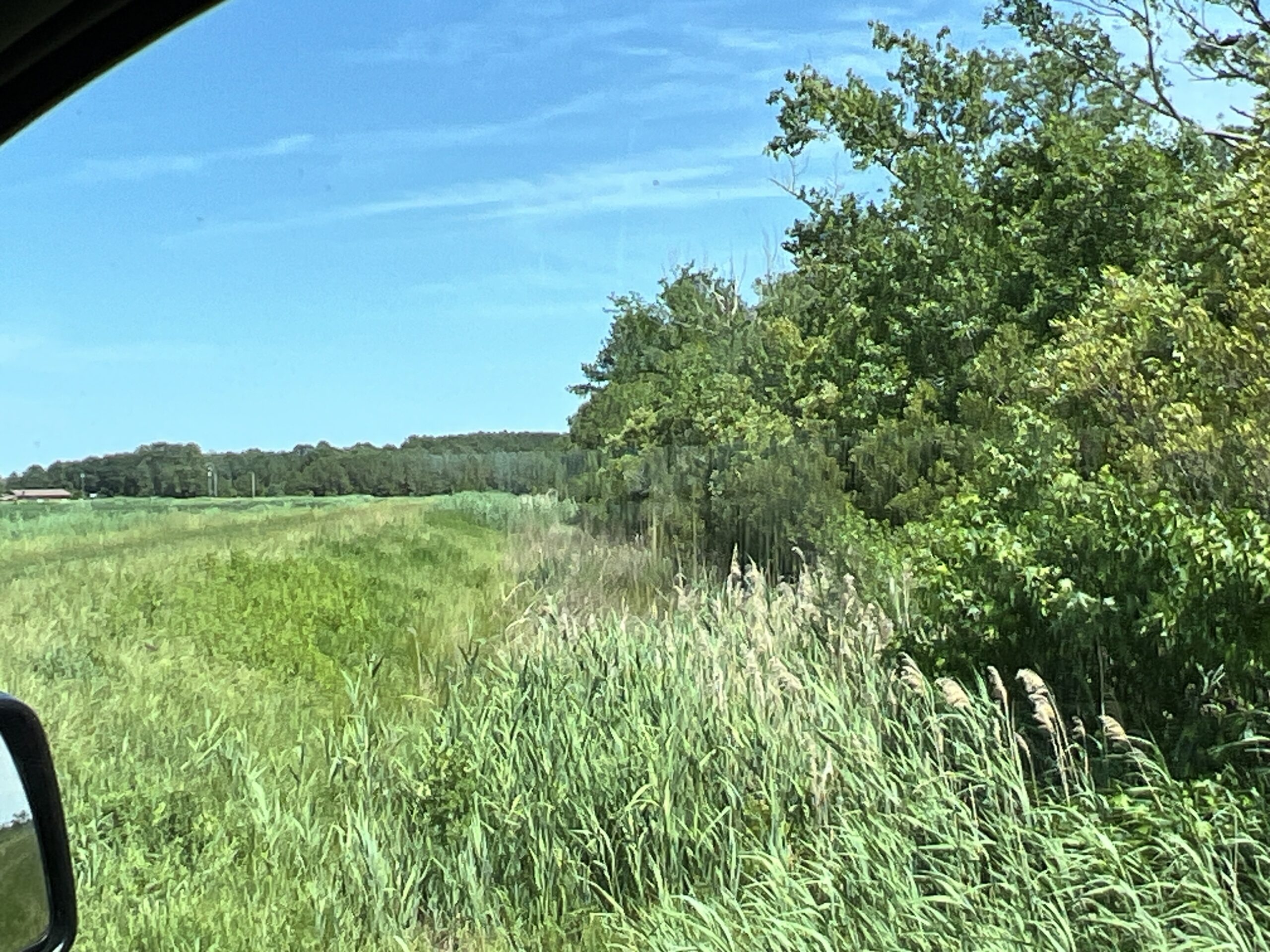 Affordable Hunting Land in Hyde County, NC – 30 AC