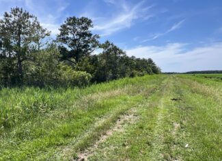 Affordable Hunting Land in Hyde County, NC – 30 AC