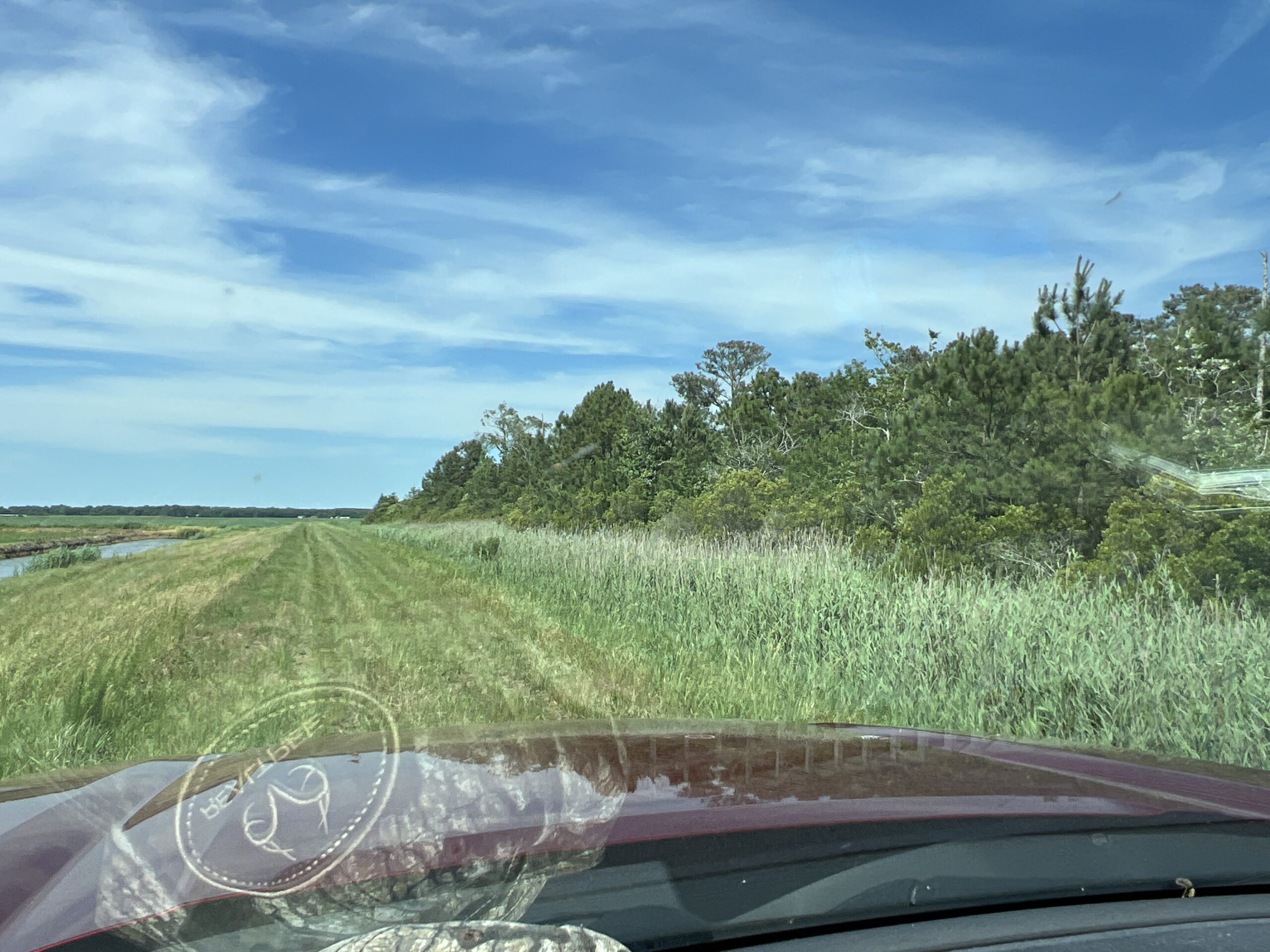 Affordable Hunting Land in Hyde County, NC – 30 AC