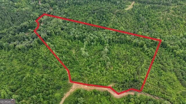 Elberton Georgia land for sale