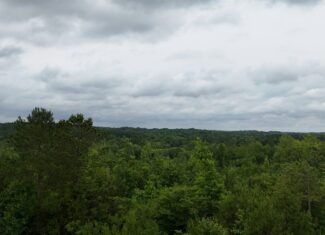 Elberton Georgia land for sale
