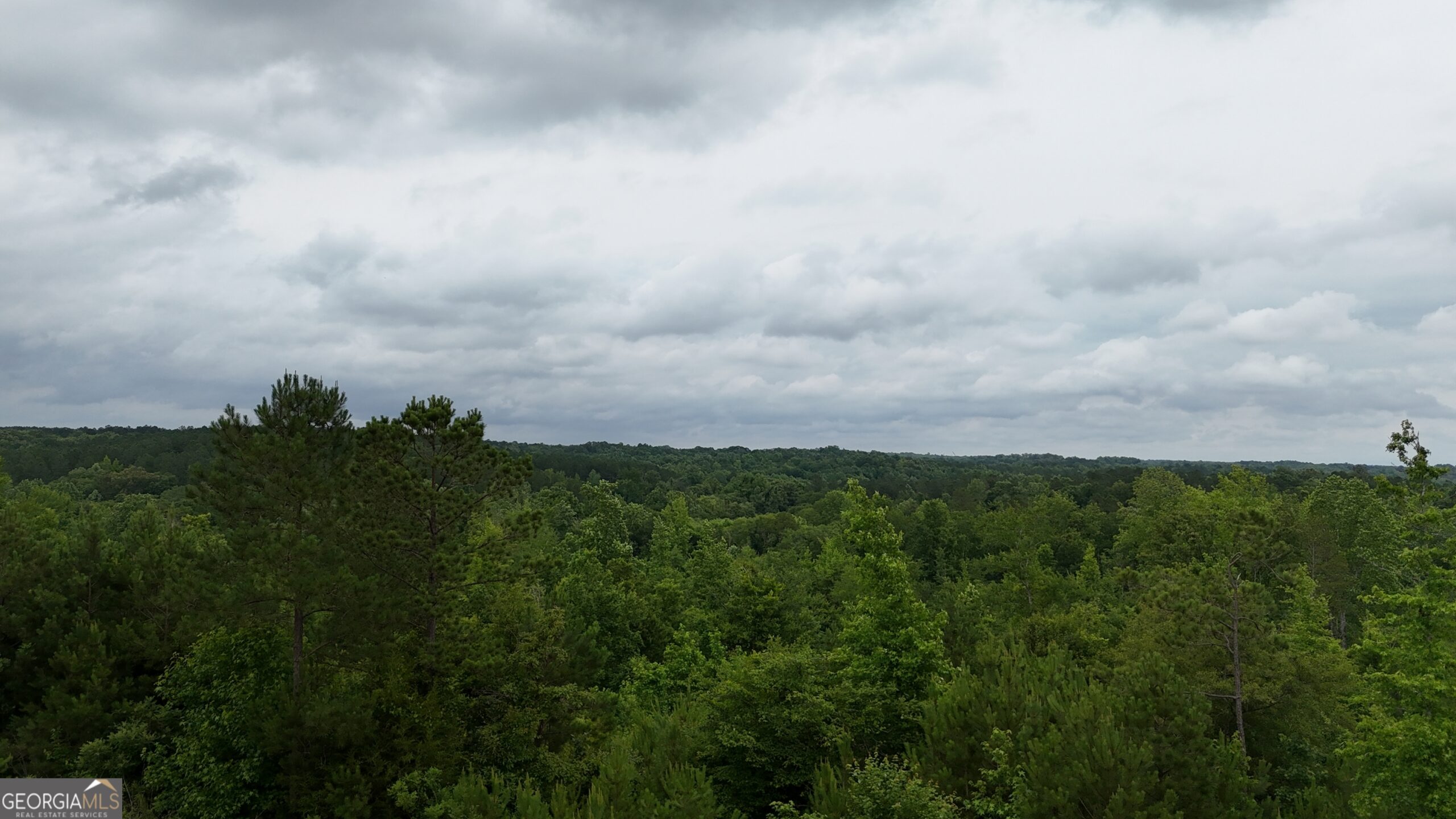 Elberton Georgia land for sale