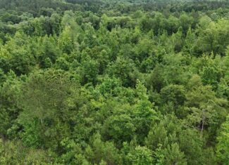 Elberton Georgia land for sale