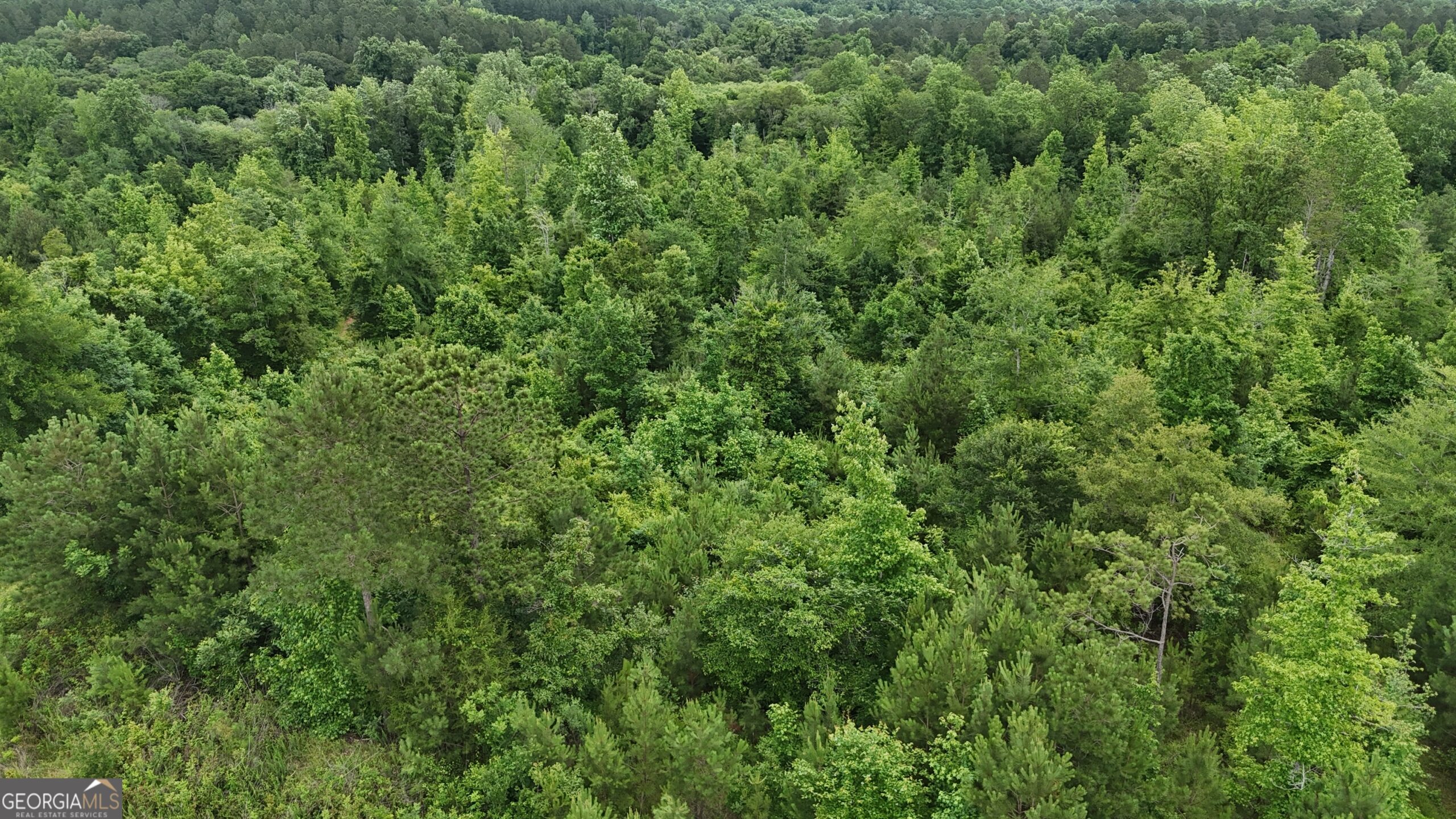 Elberton Georgia land for sale