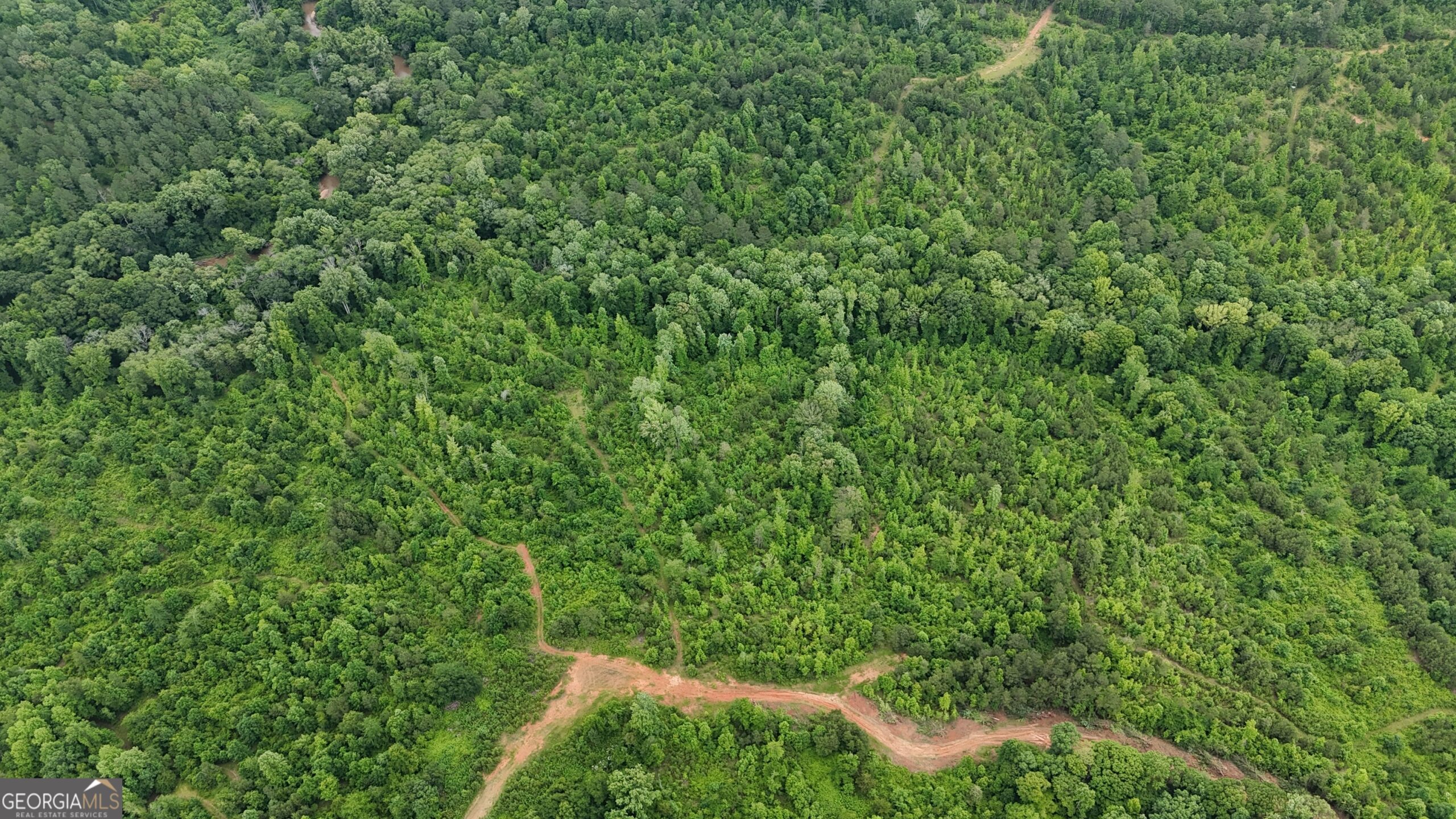 Elberton Georgia land for sale