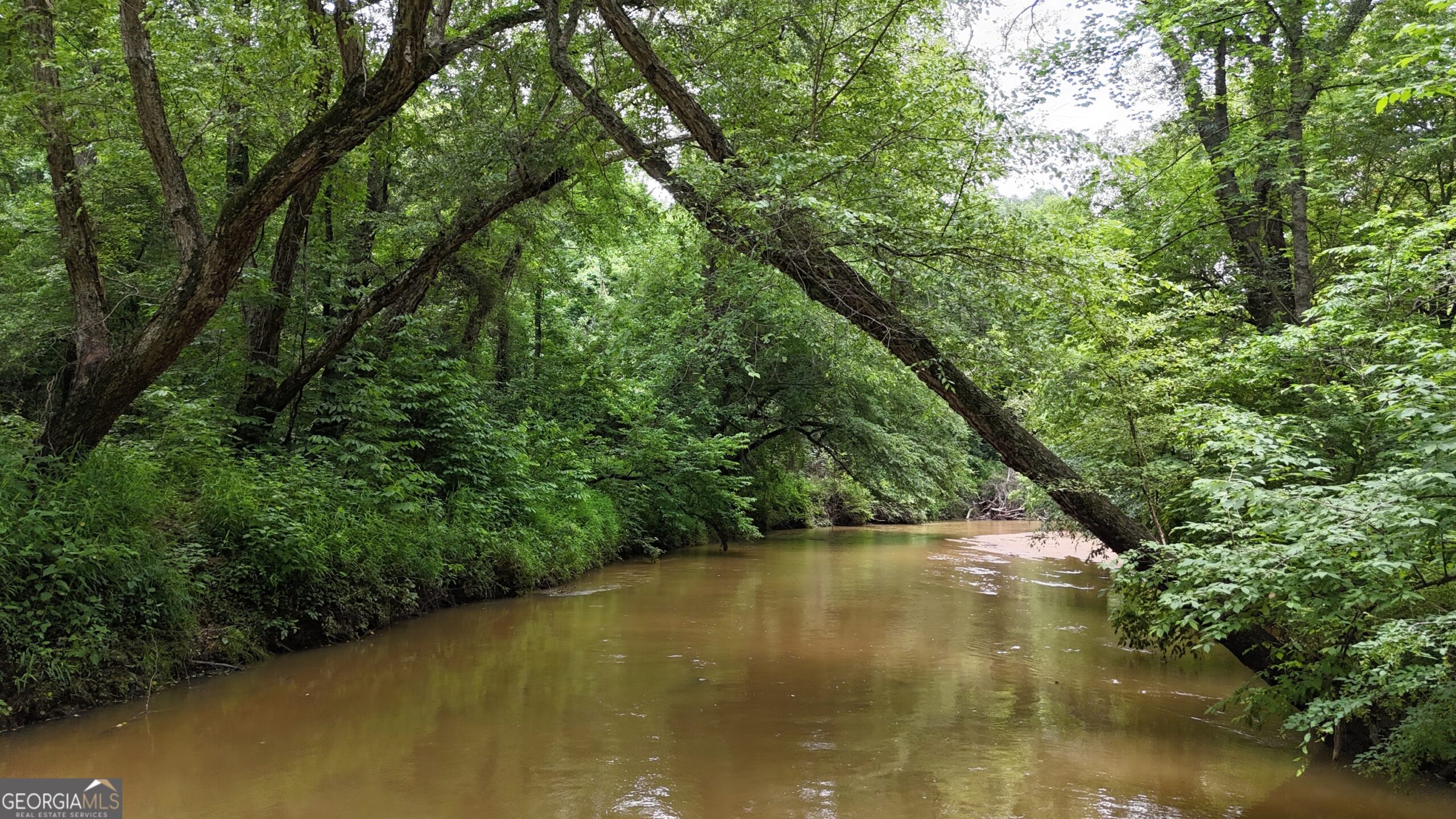 Elberton Georgia land for sale