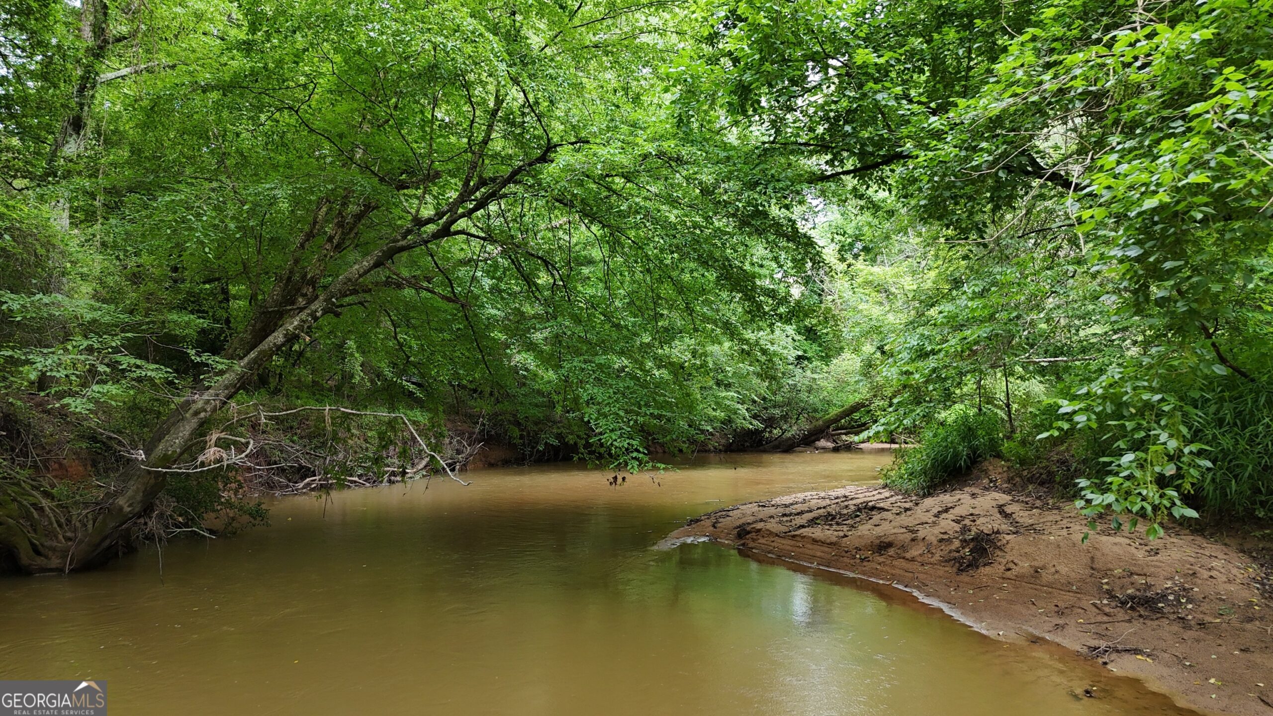Elberton Georgia land for sale