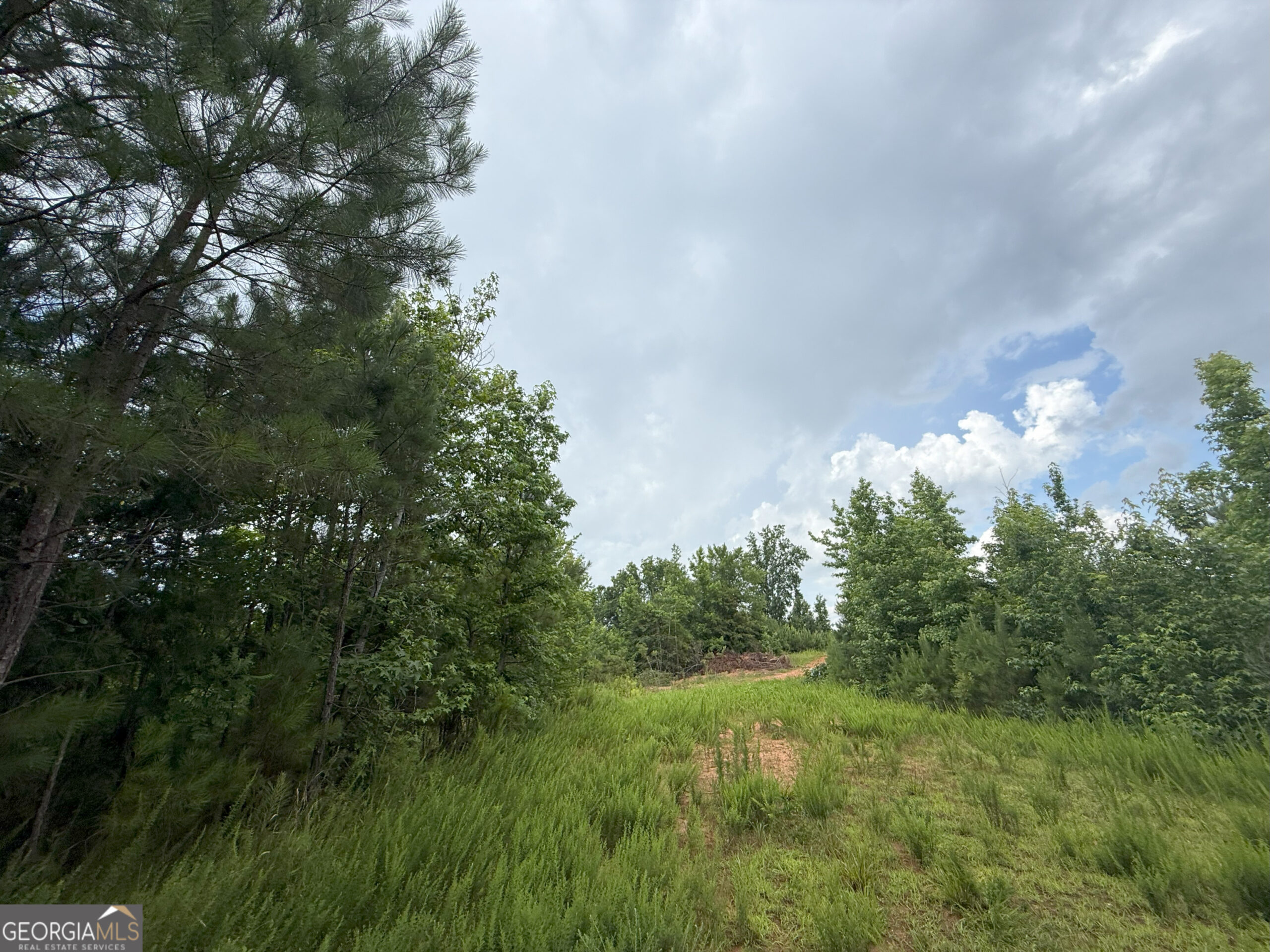 Elberton Georgia land for sale