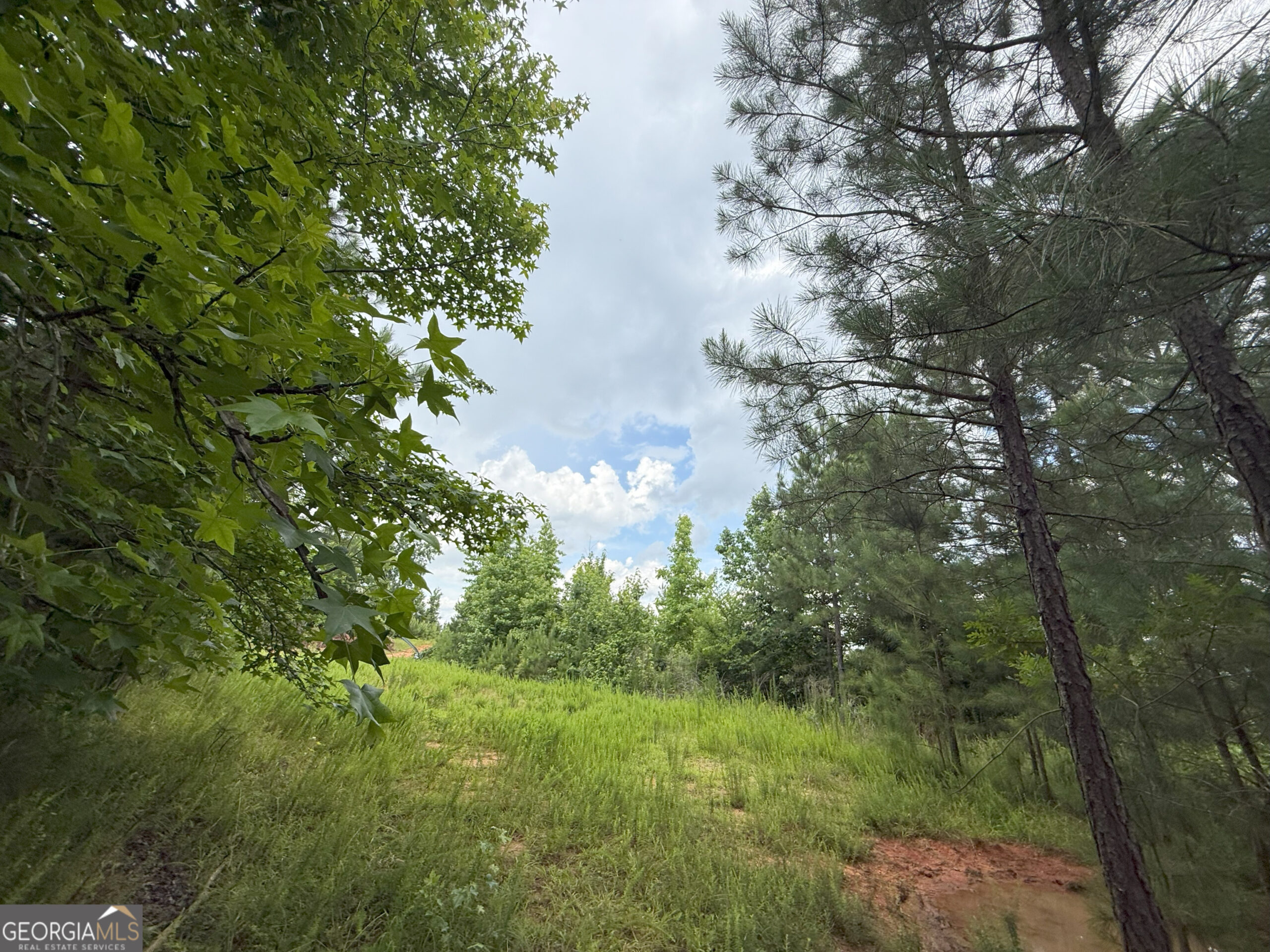 Elberton Georgia land for sale