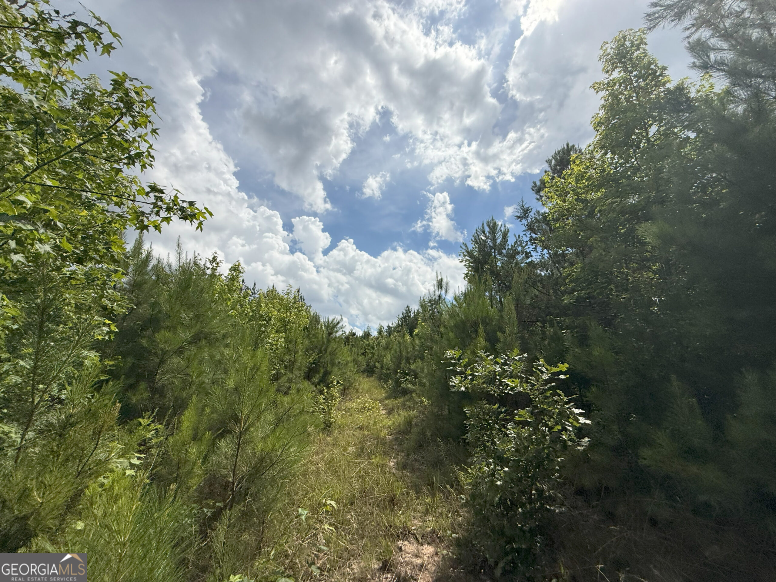 Elberton Georgia land for sale
