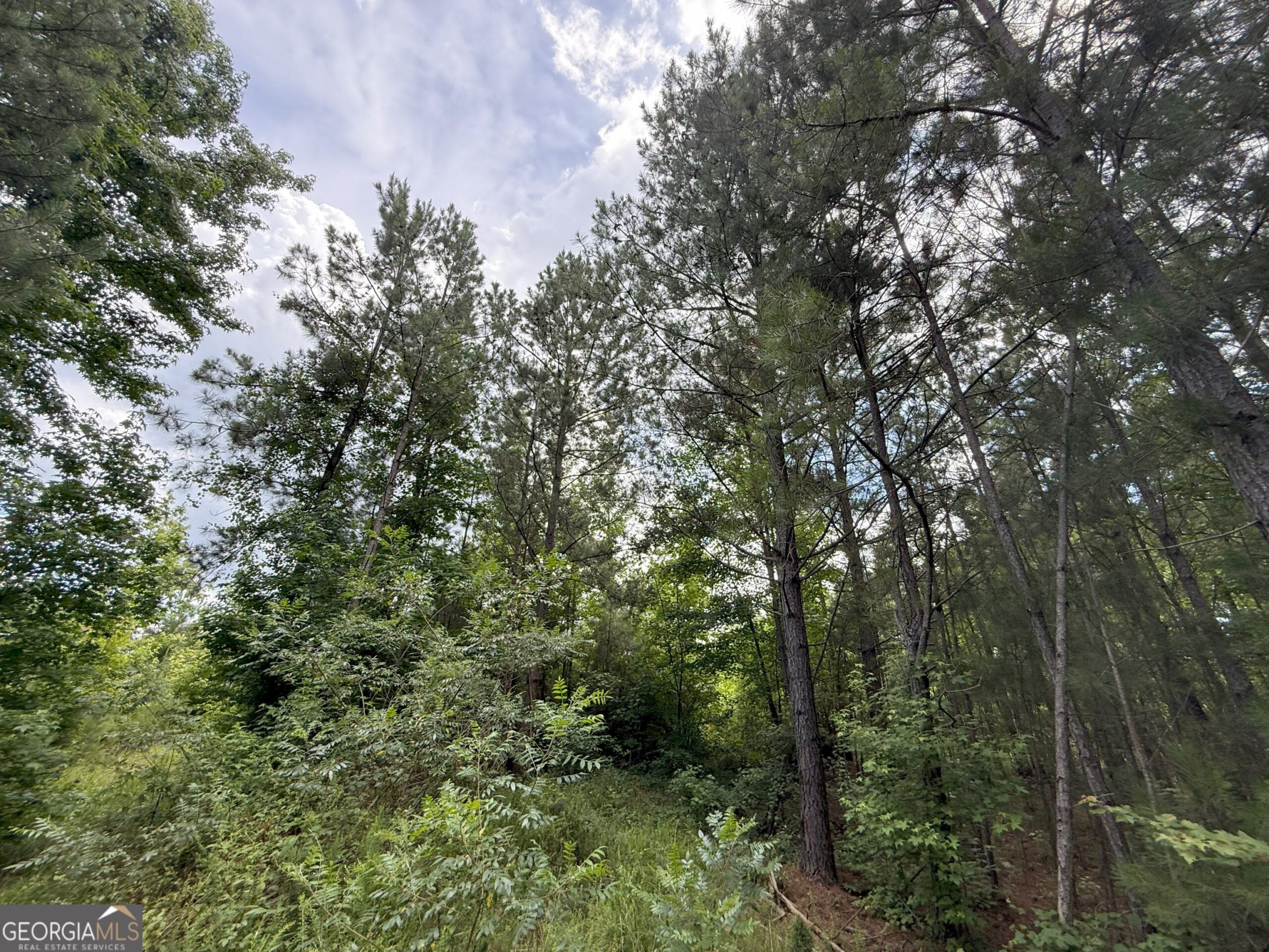 Elberton Georgia land for sale
