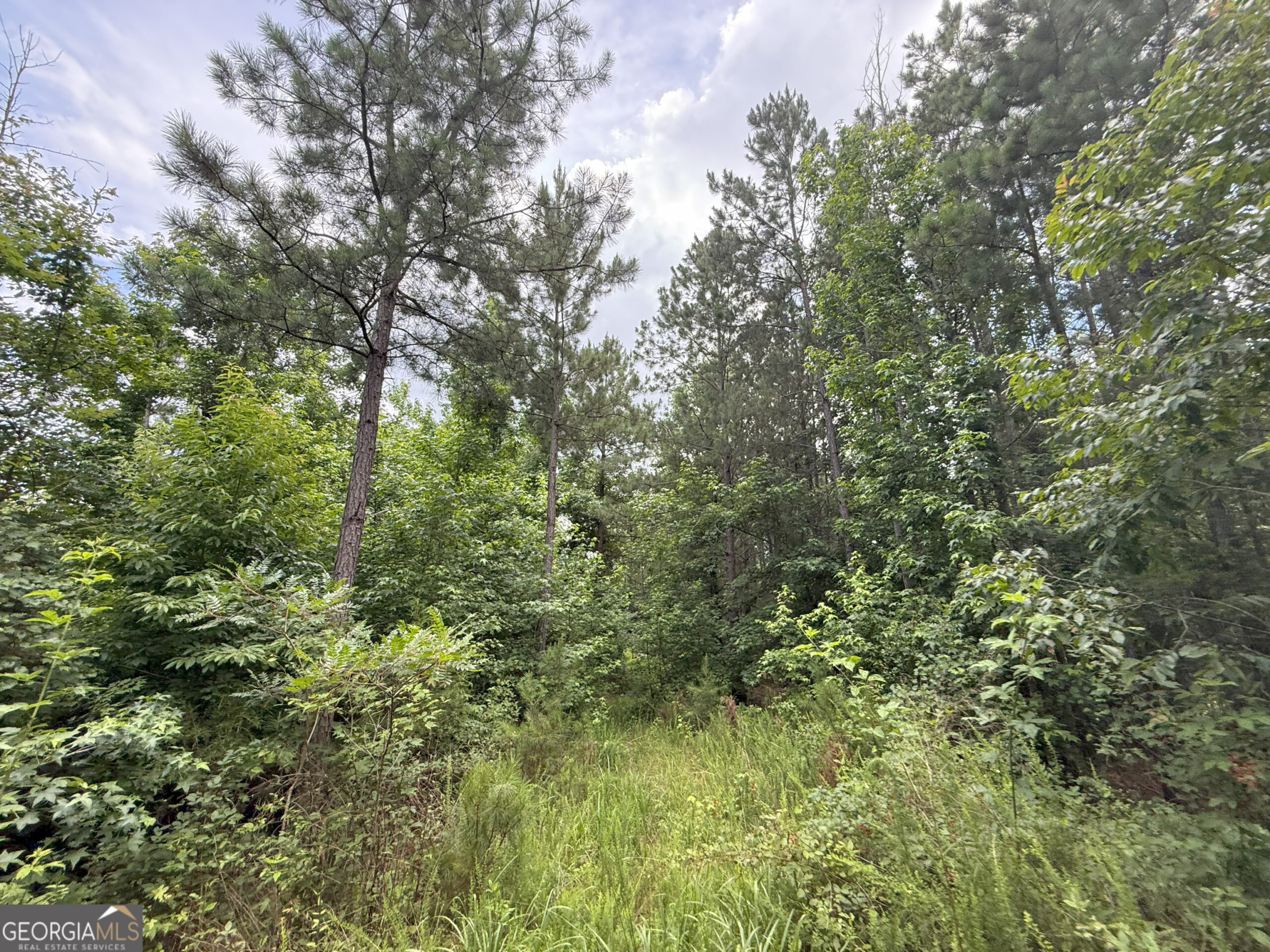 Elberton Georgia land for sale