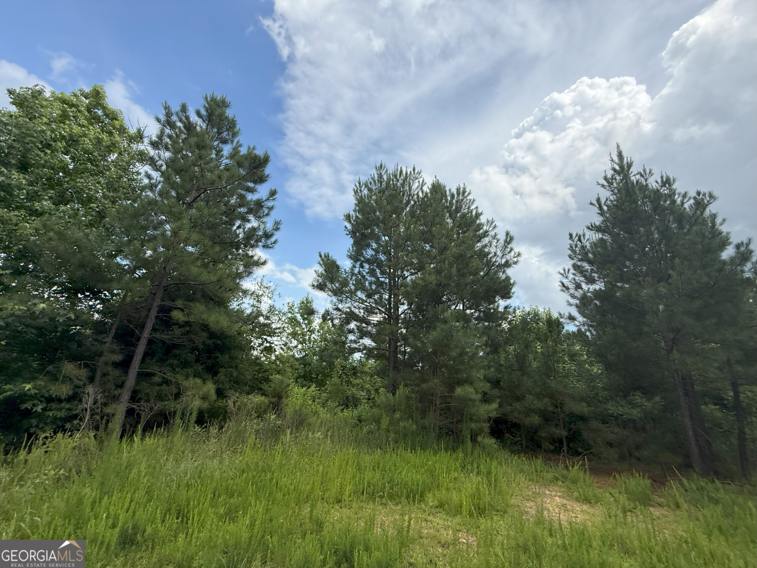 Elberton Georgia land for sale