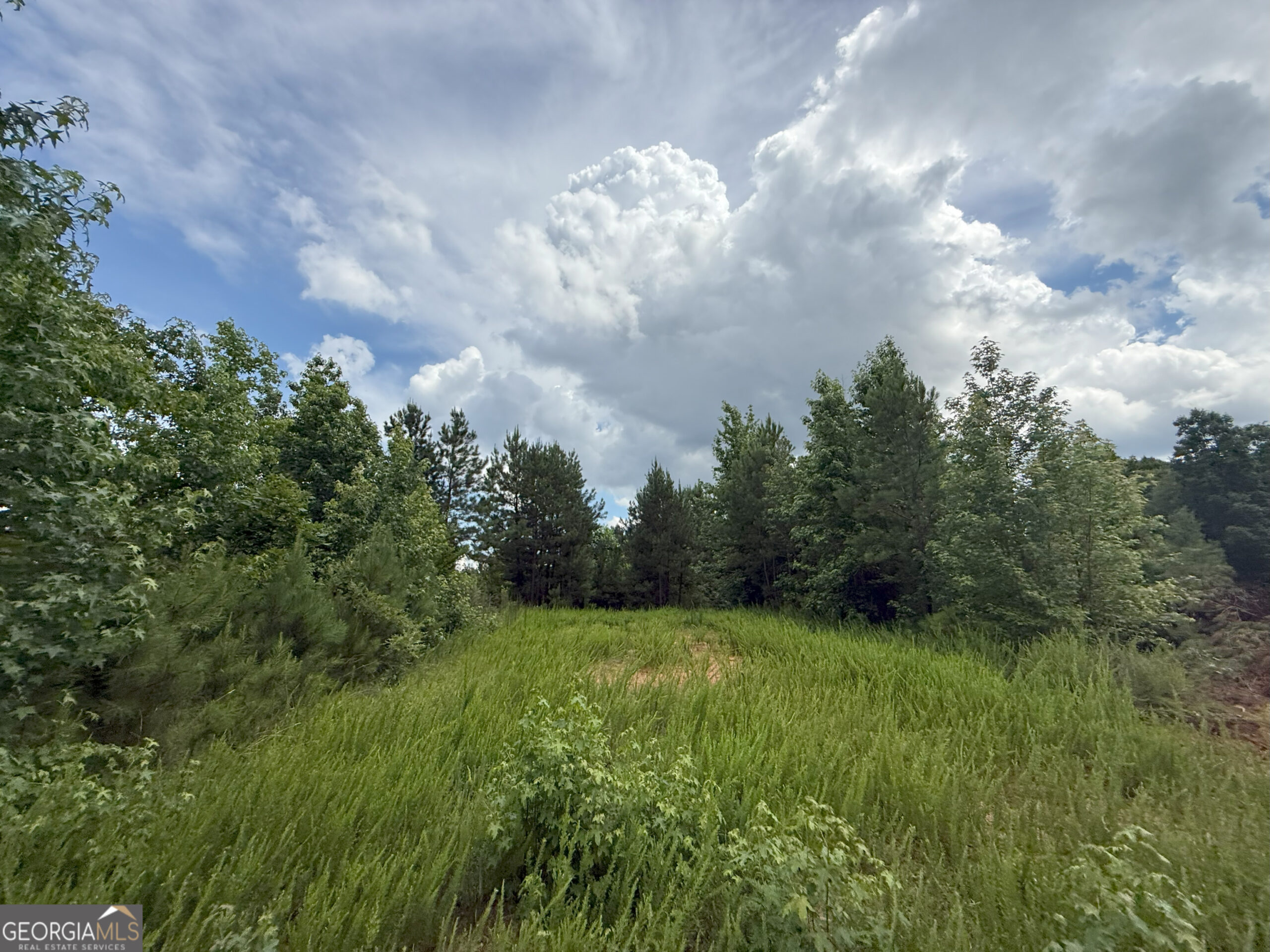 Elberton Georgia land for sale