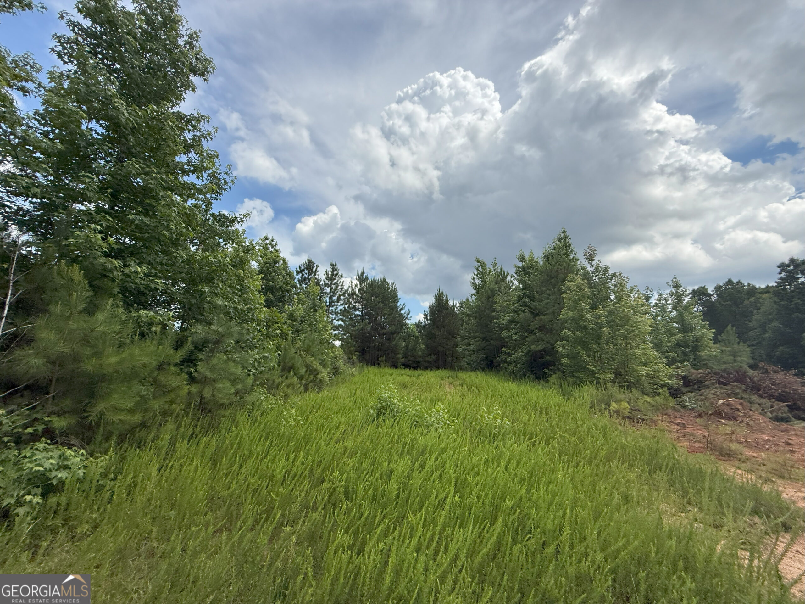 Elberton Georgia land for sale