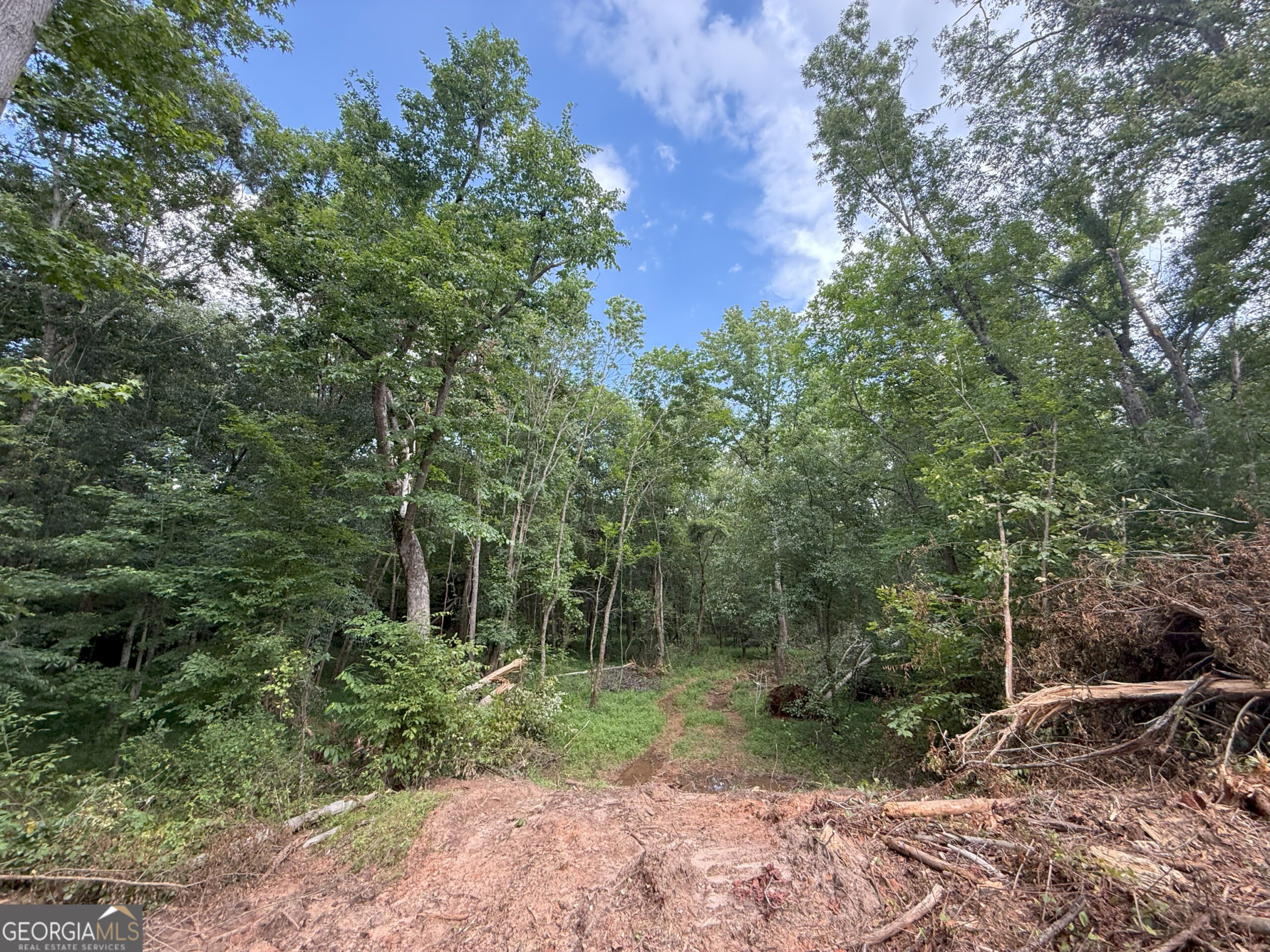 Elberton Georgia land for sale
