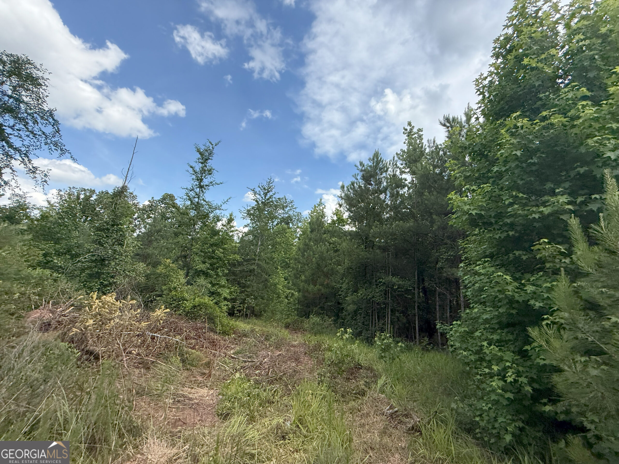 Elberton Georgia land for sale