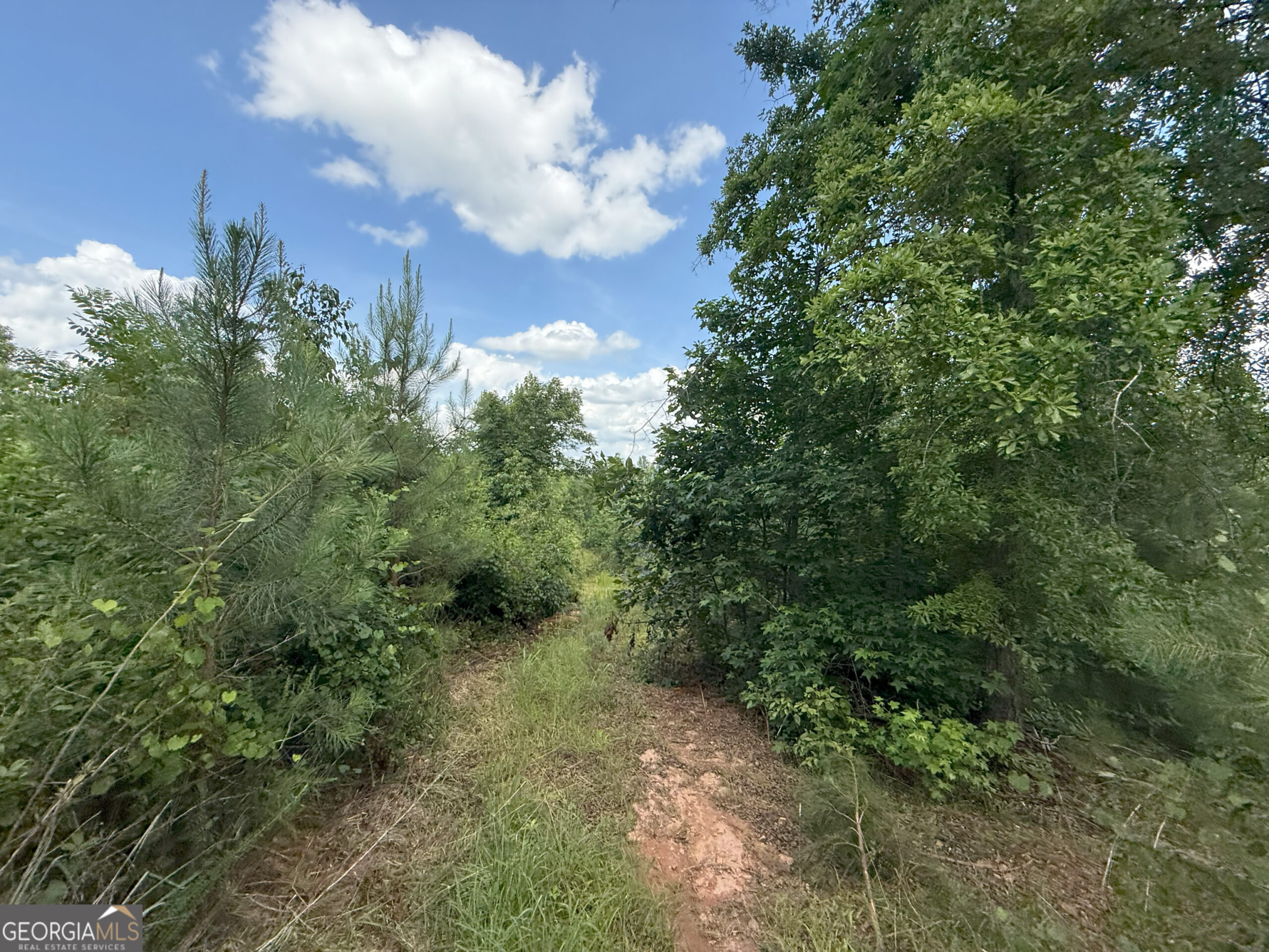 Elberton Georgia land for sale