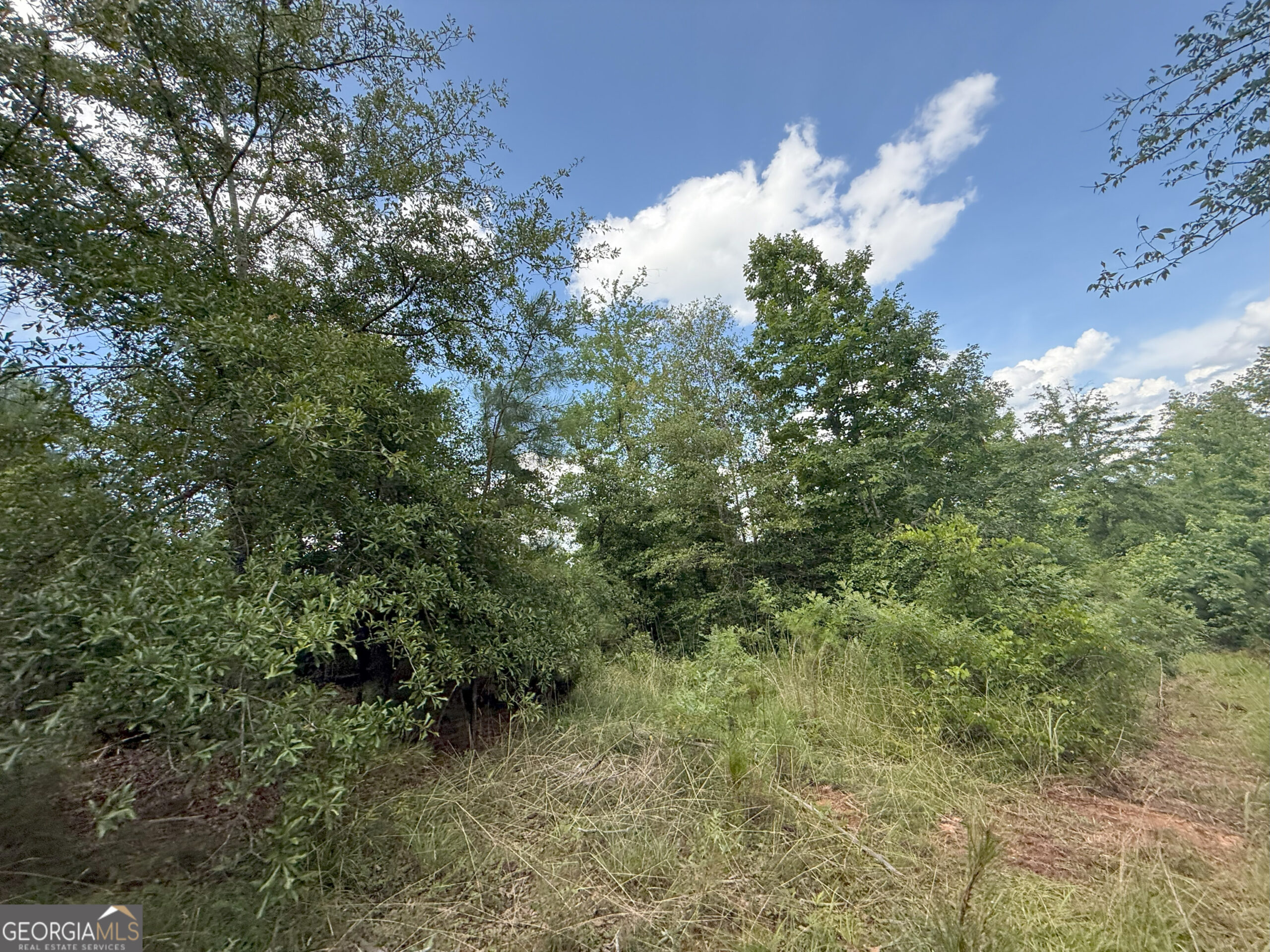 Elberton Georgia land for sale