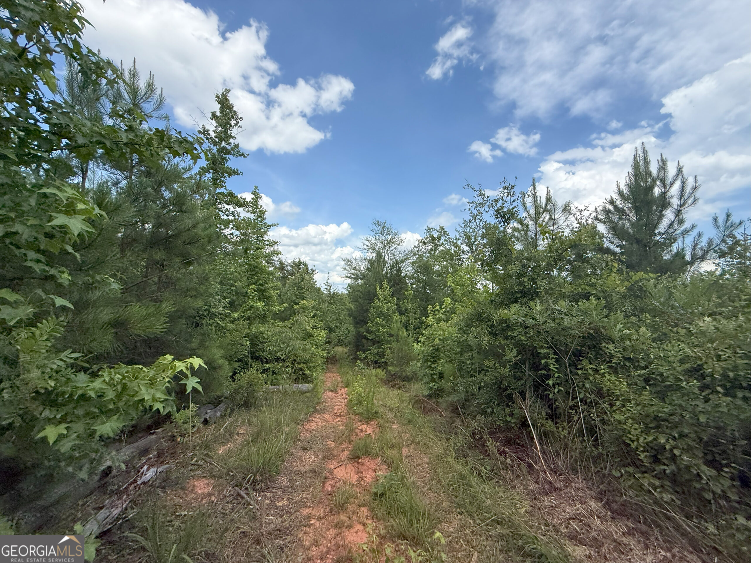 Elberton Georgia land for sale
