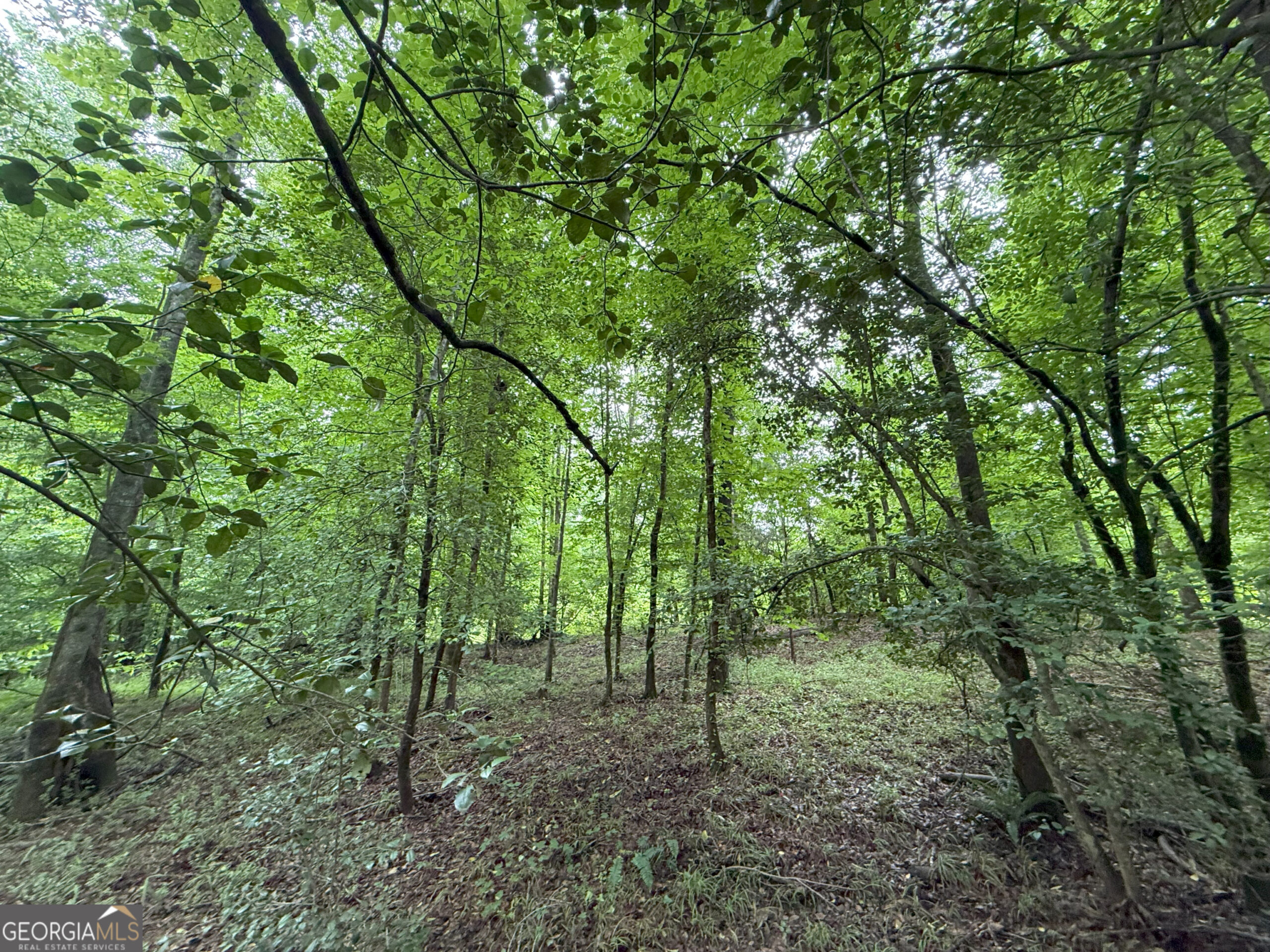 Elberton Georgia land for sale
