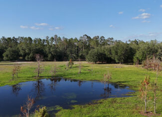 North Florida Recreational and Hunting Acreage
